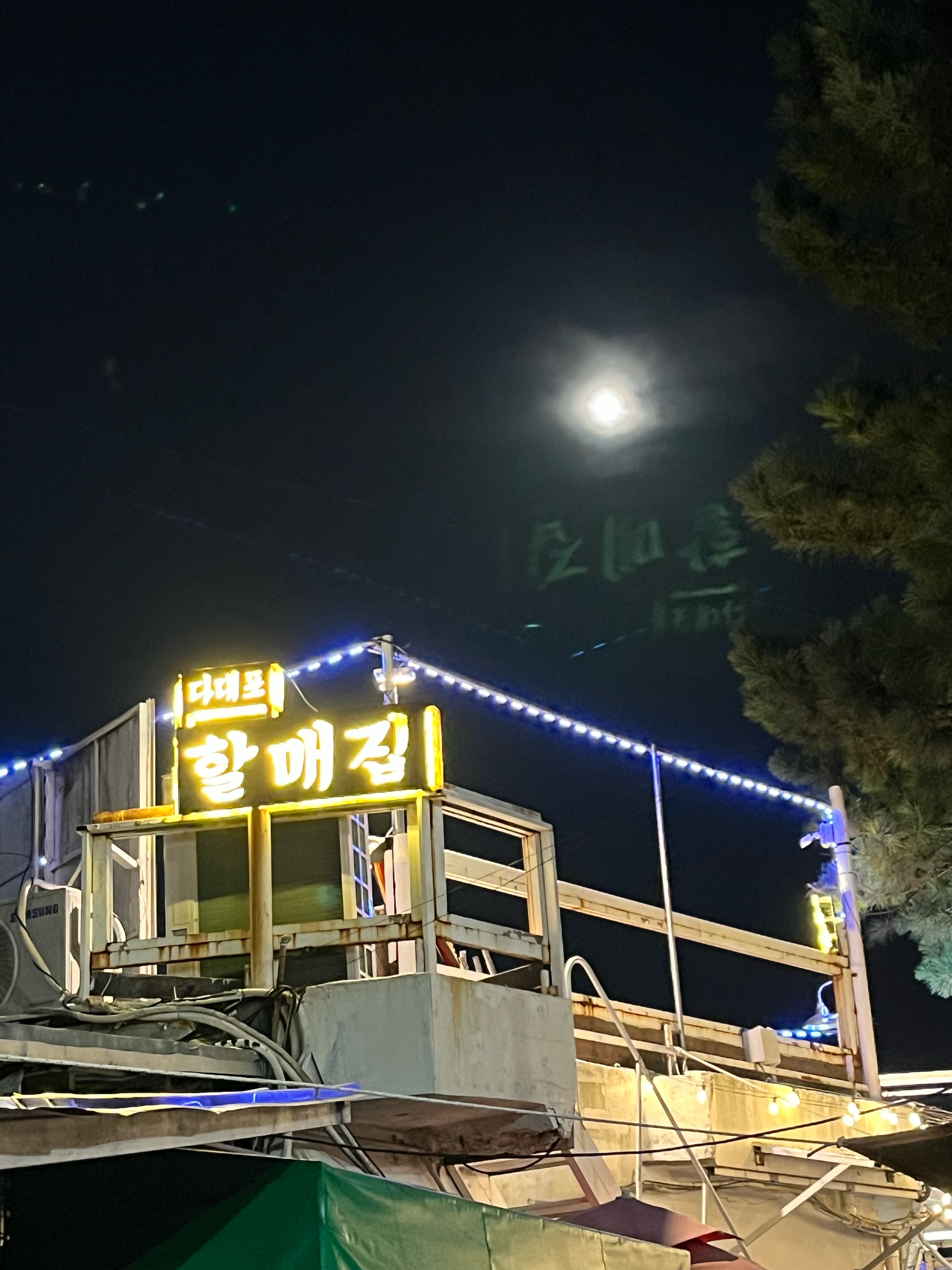 다대포할매집 사진 4