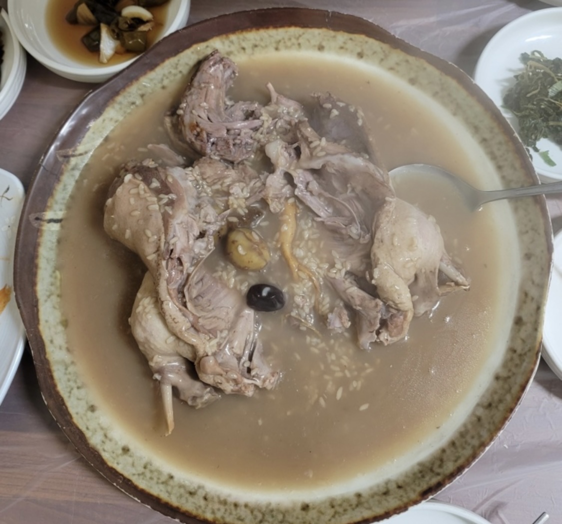 Origol (오리골) 1