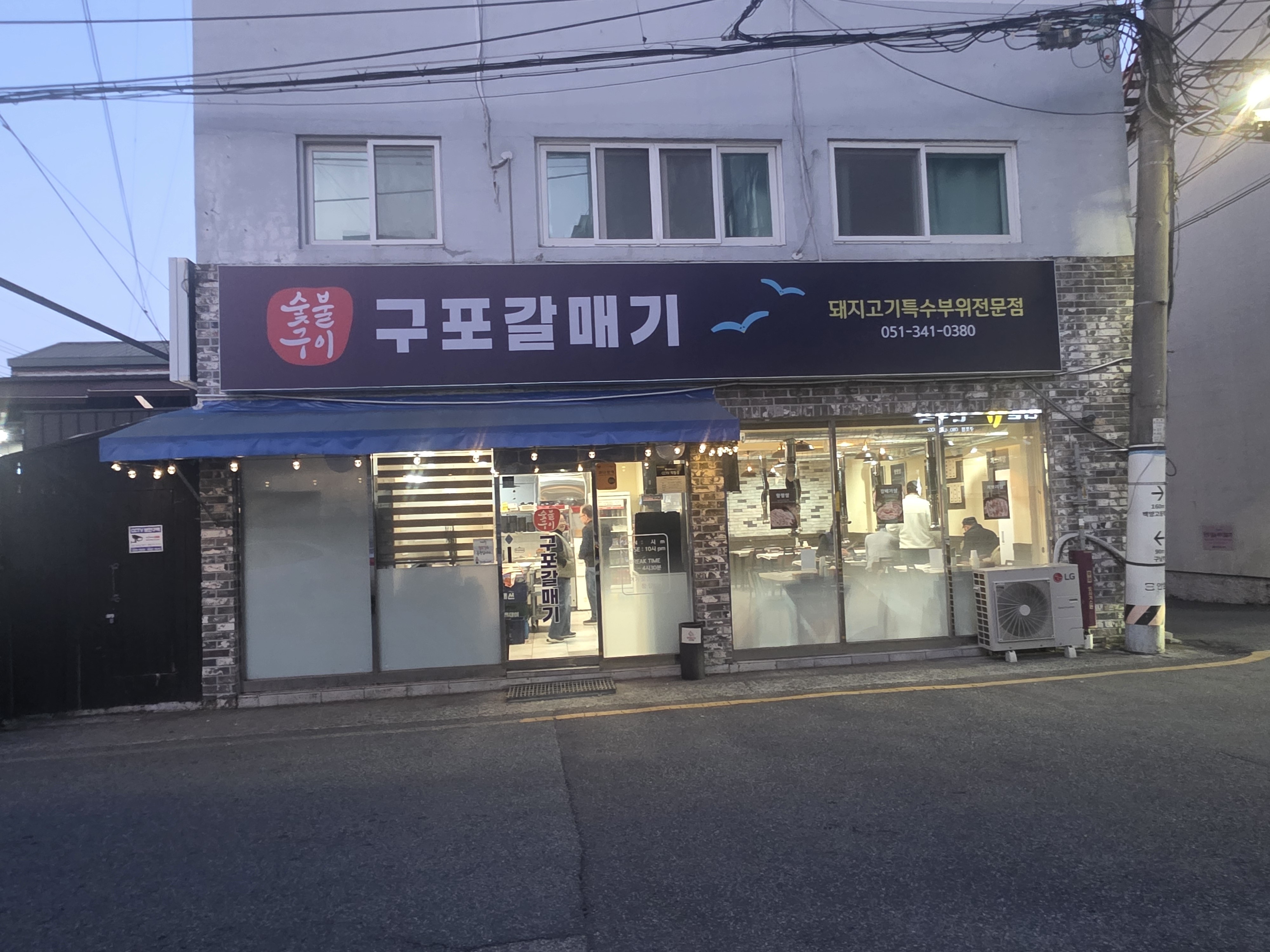 구포갈매기 사진 4