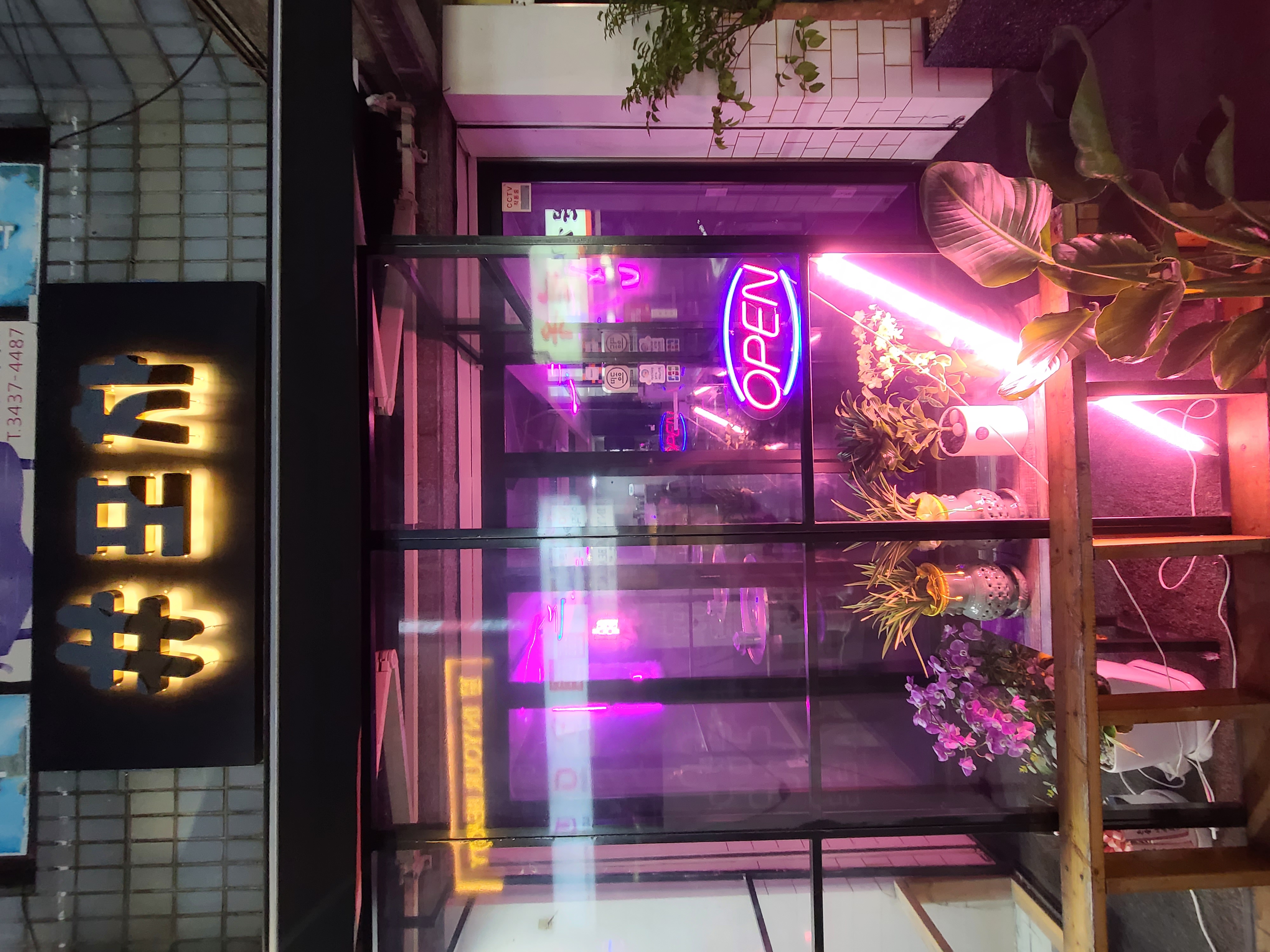 샾포차 사진 5