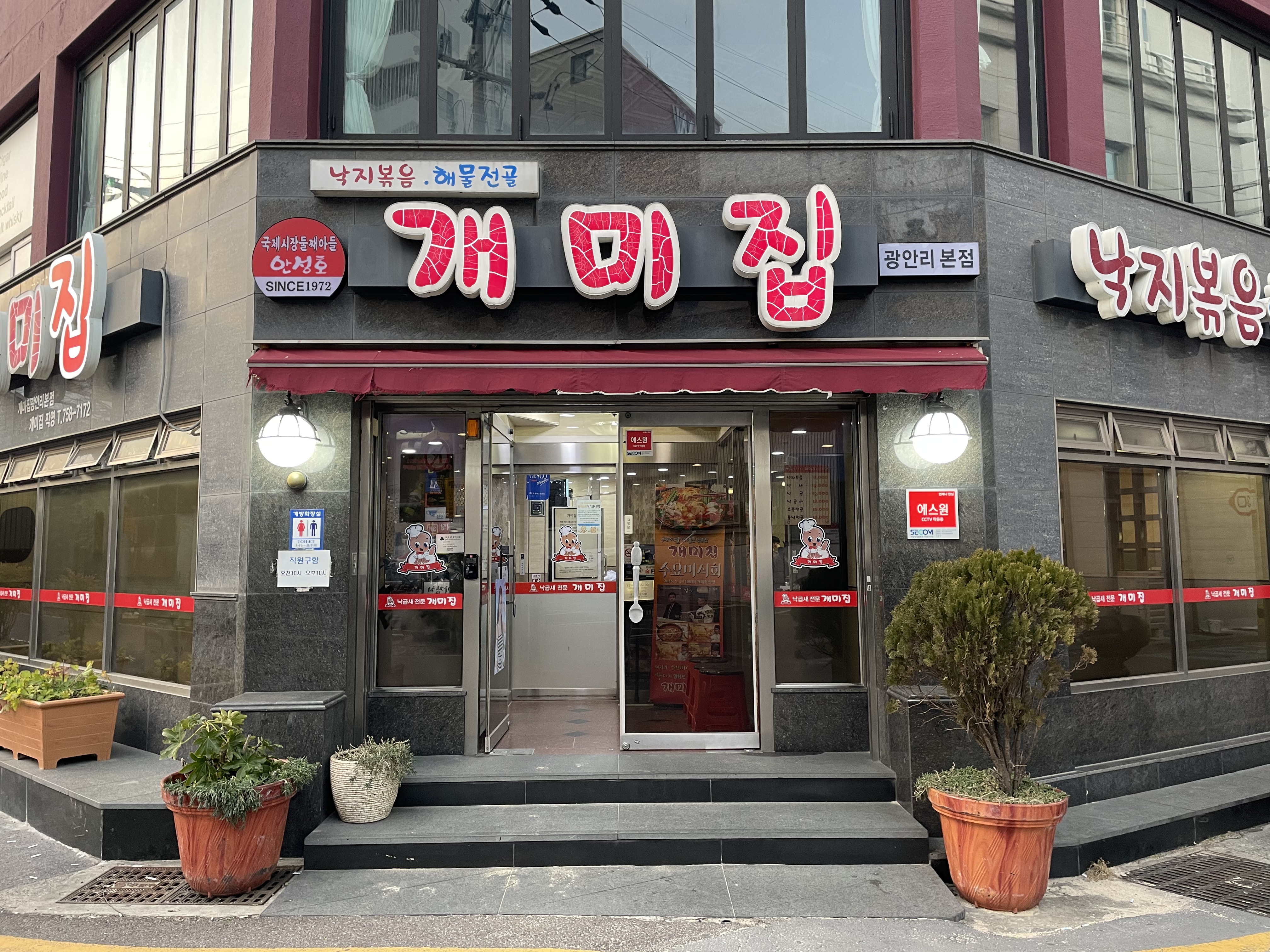 개미집 1
