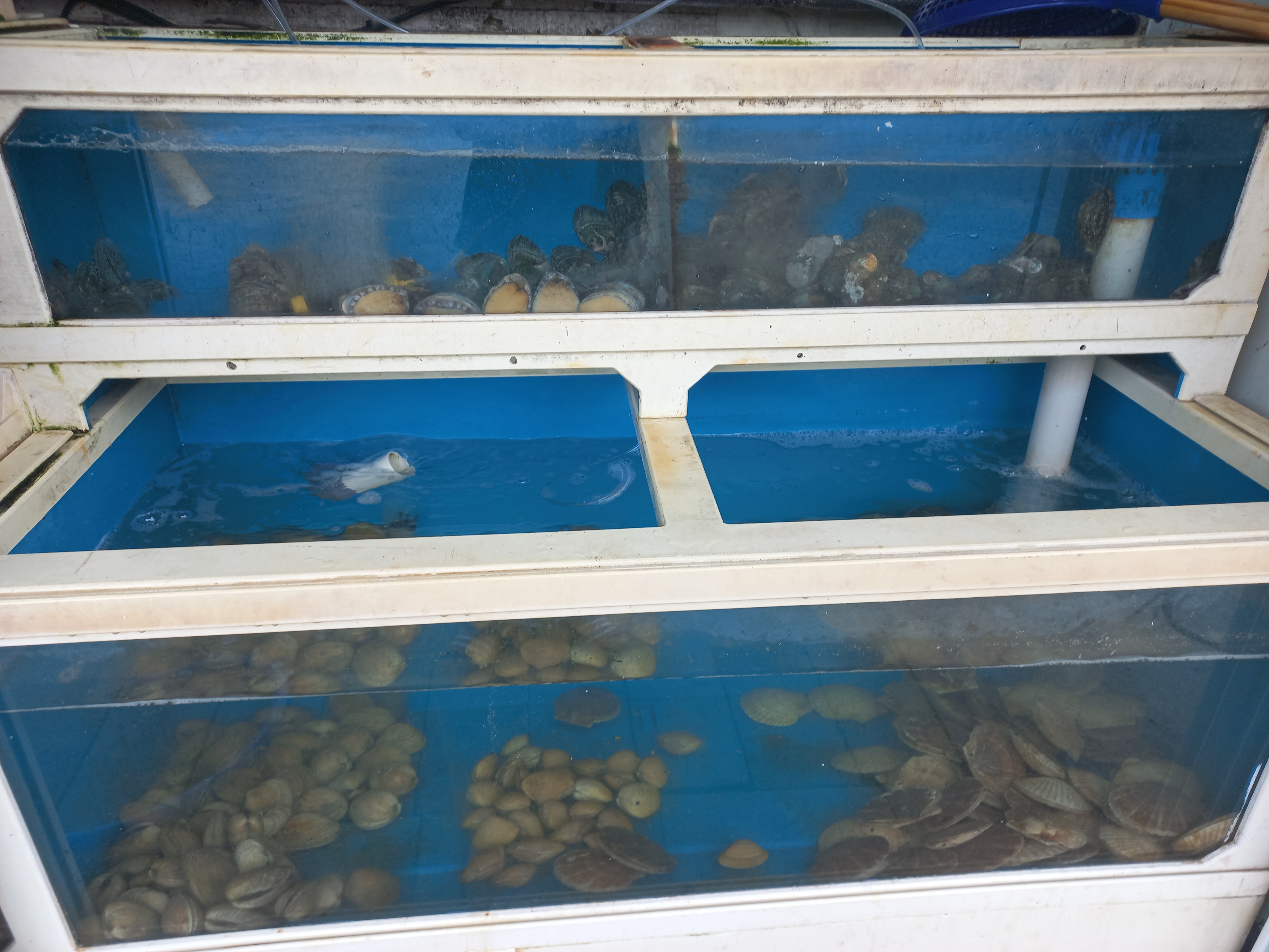 해물궁 6