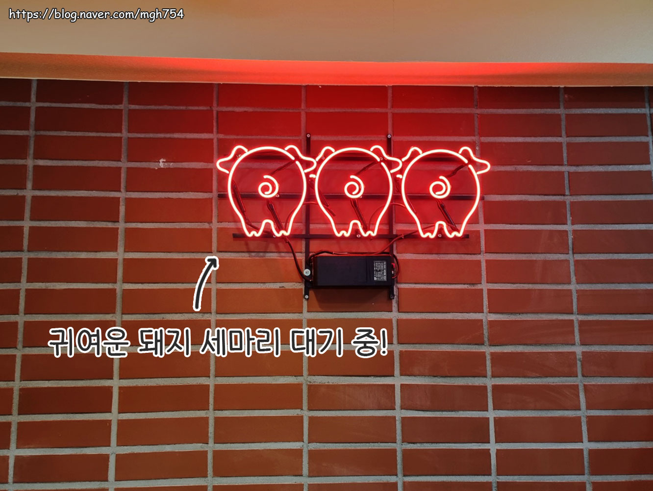 뚱삼이와대삼이 괴정점 사진 3