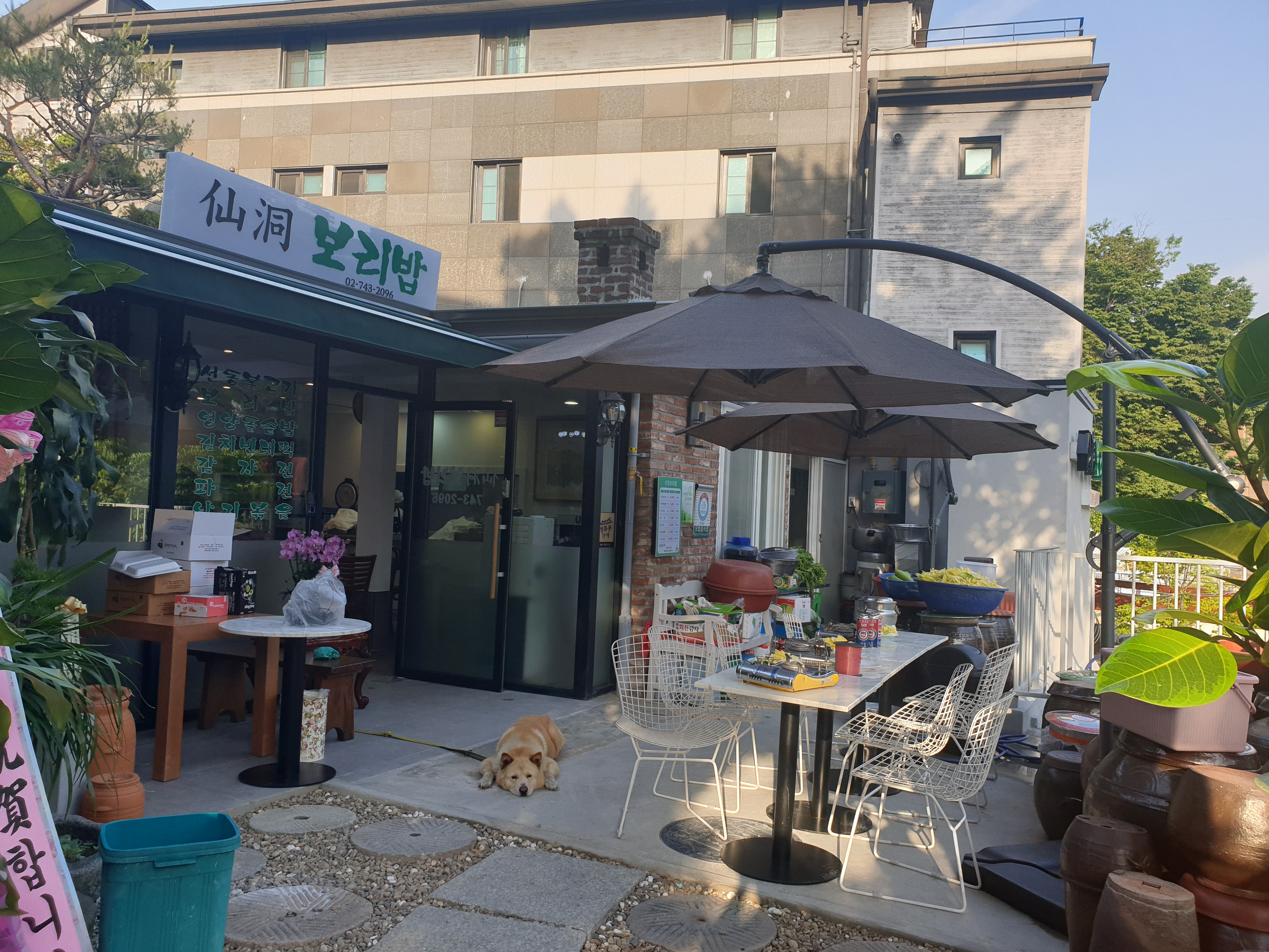 선동보리밥 2