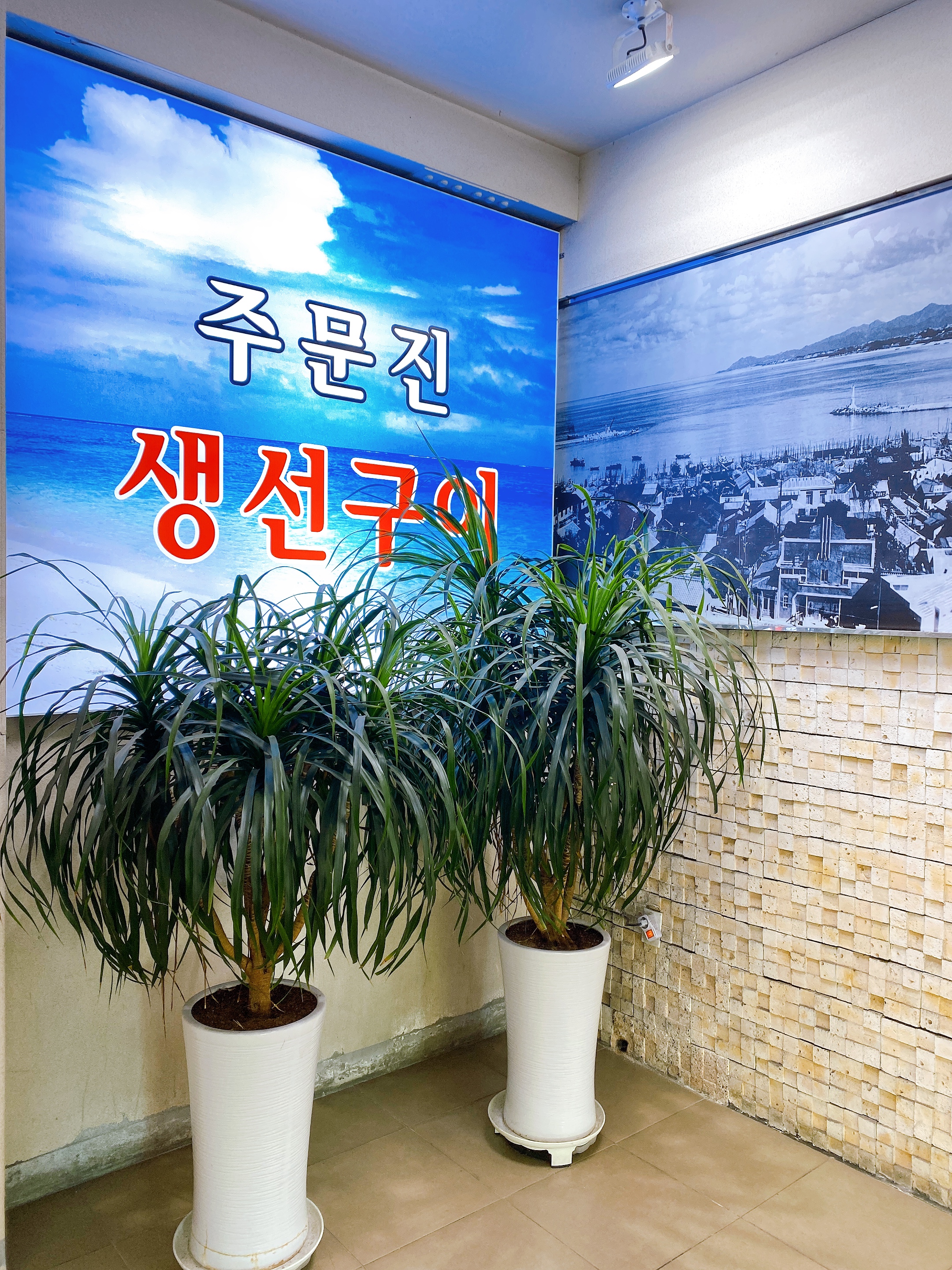 주문진생선구이찌개 사진 6