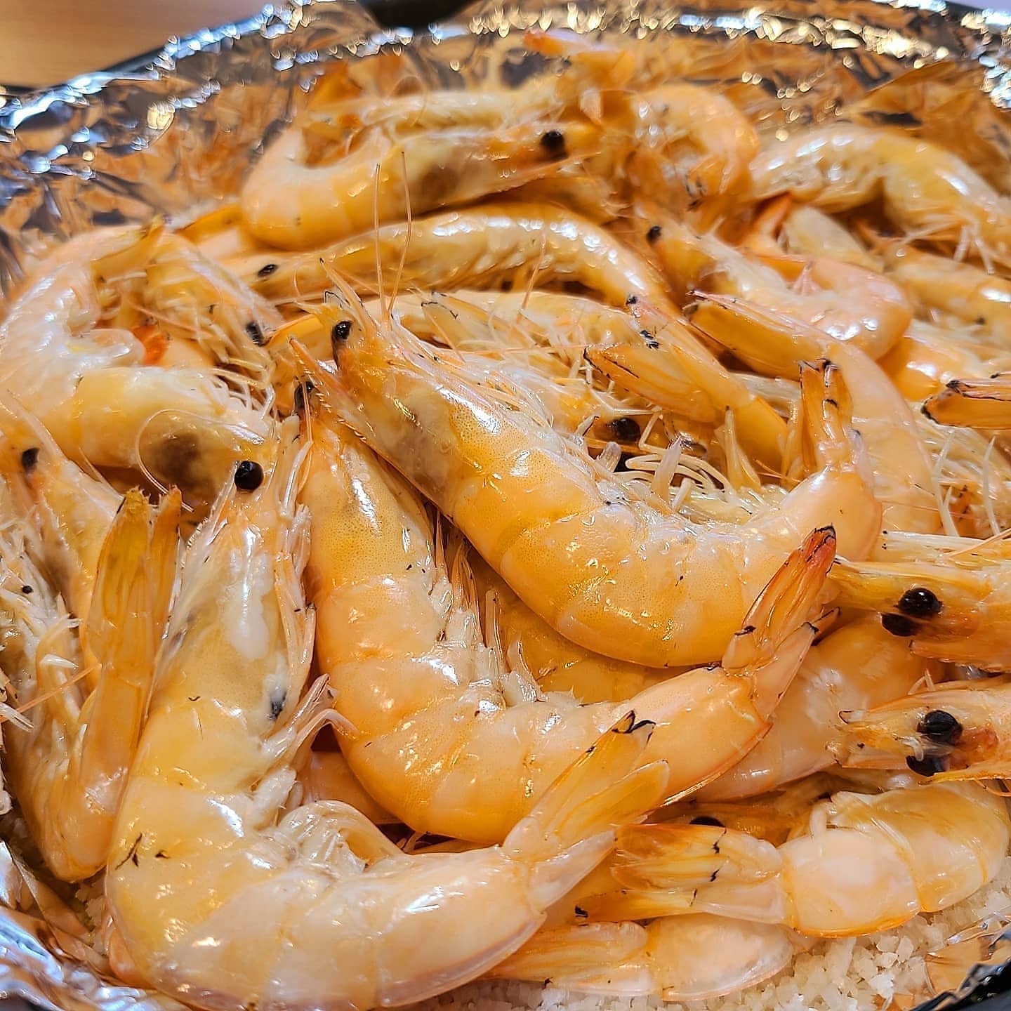 도시새우 사진 3