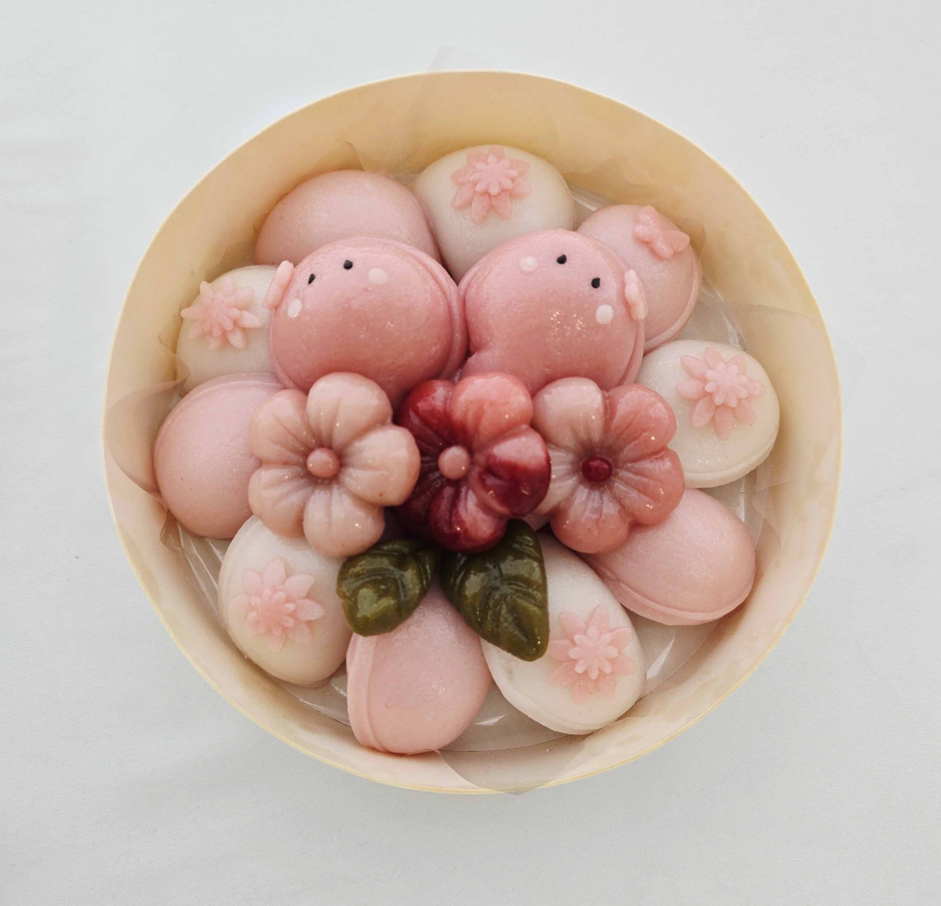 모아시루 사진 5