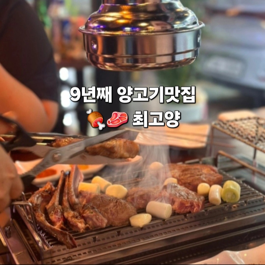 최고양 1