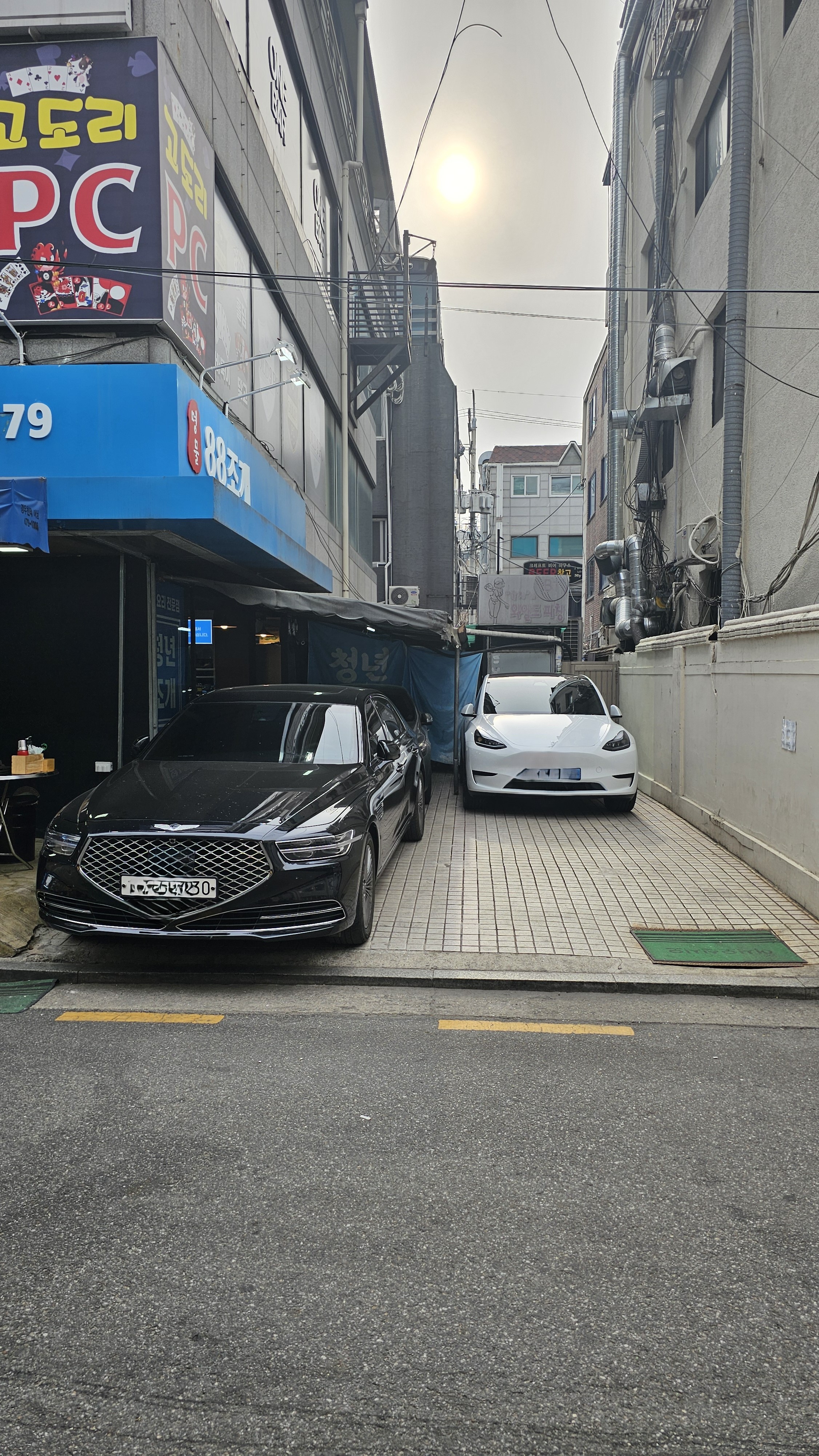 88조개 사진 7