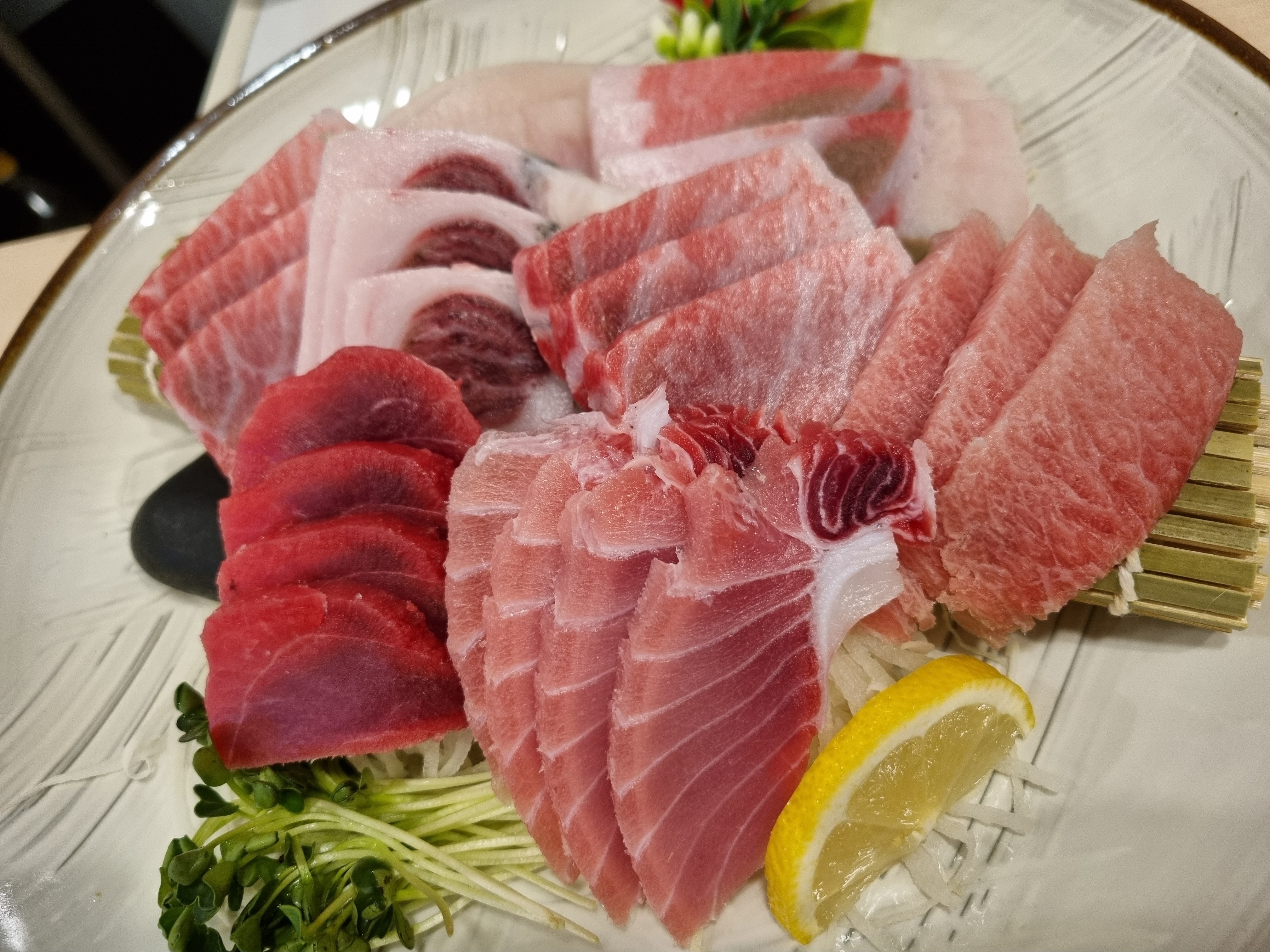 정참치 사진 5