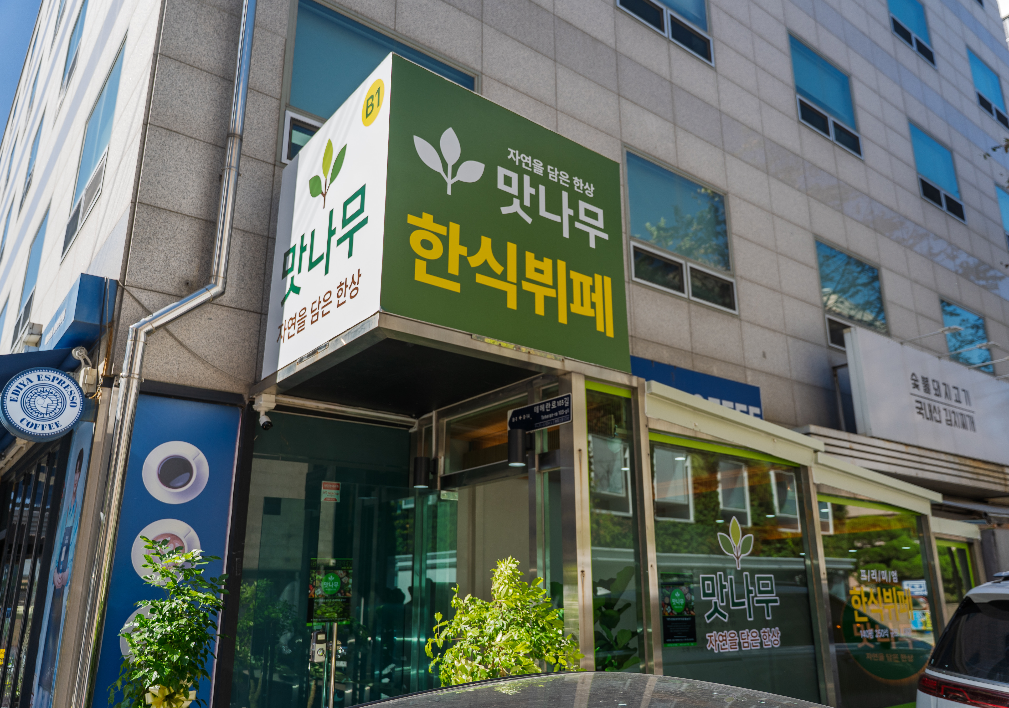 맛나무 사진 3