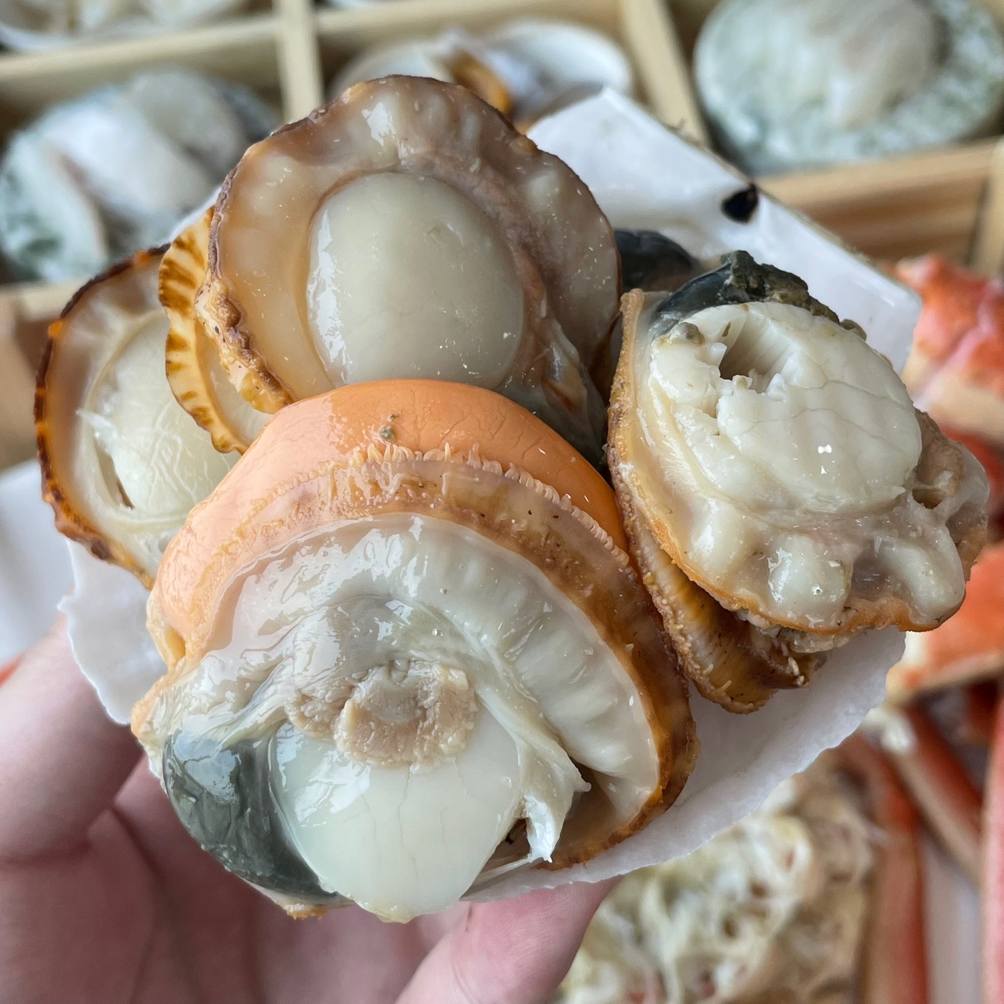 비치대게직판장 5