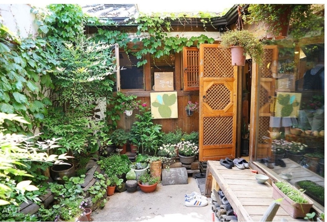 뜰안 사진 7