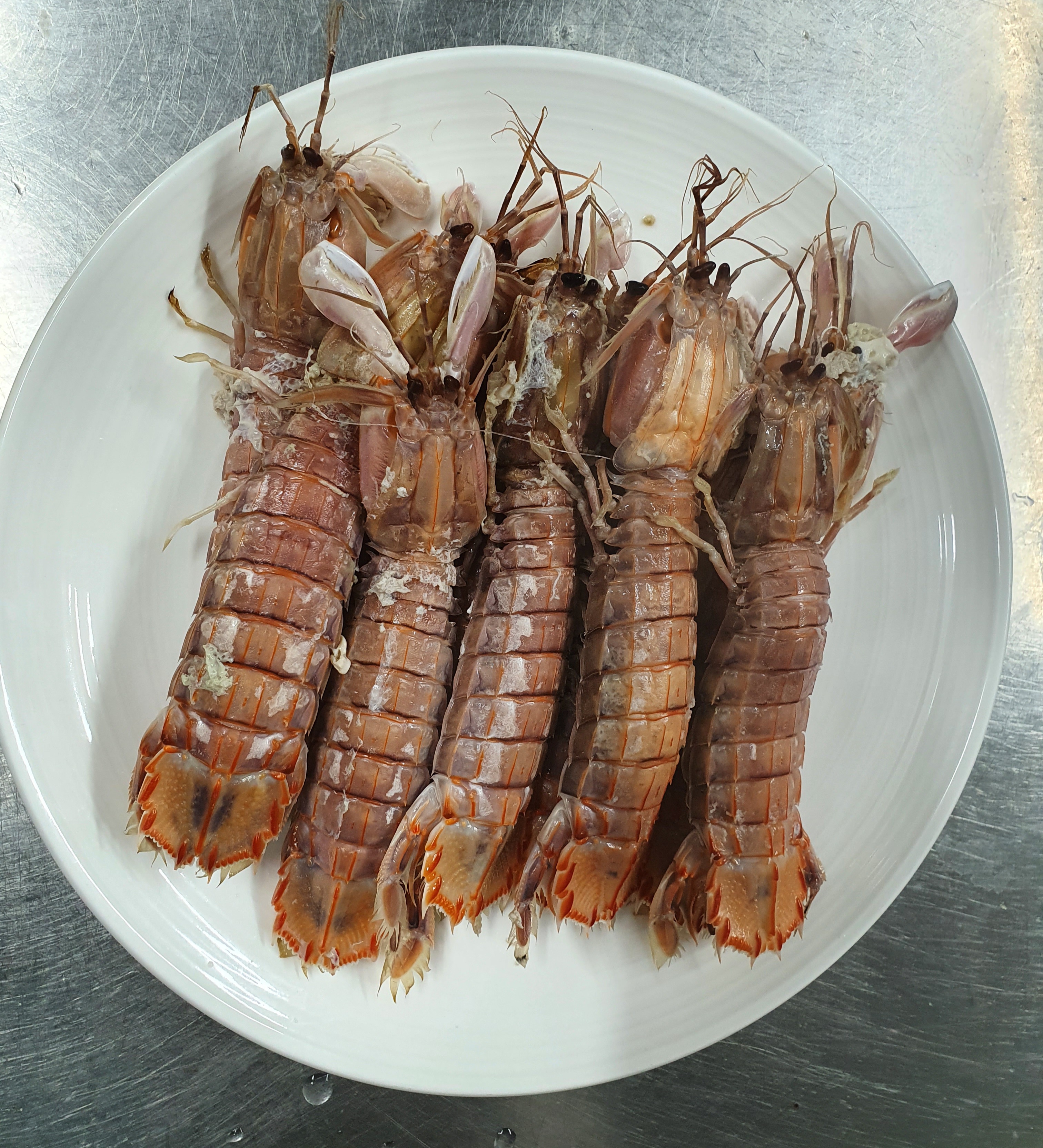 Oraedoenmirae 6