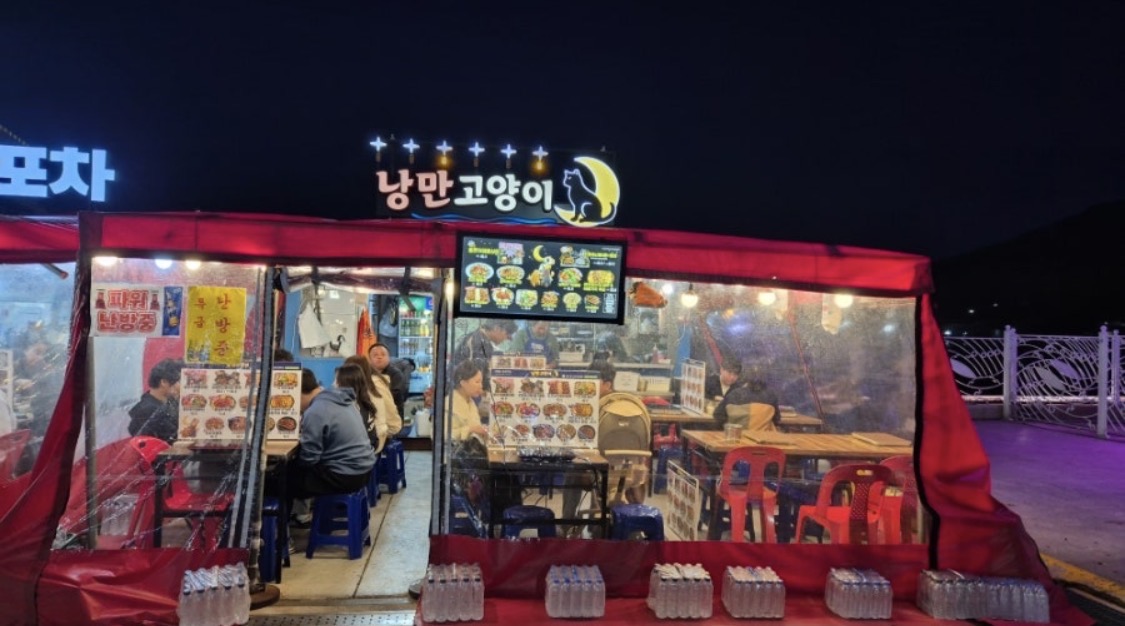 낭만고양이 사진 2