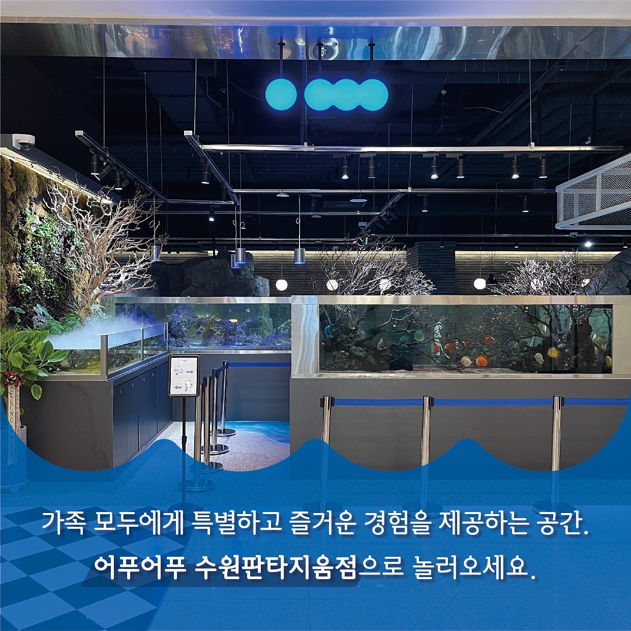 어푸어푸 수원판타지움점 사진 8