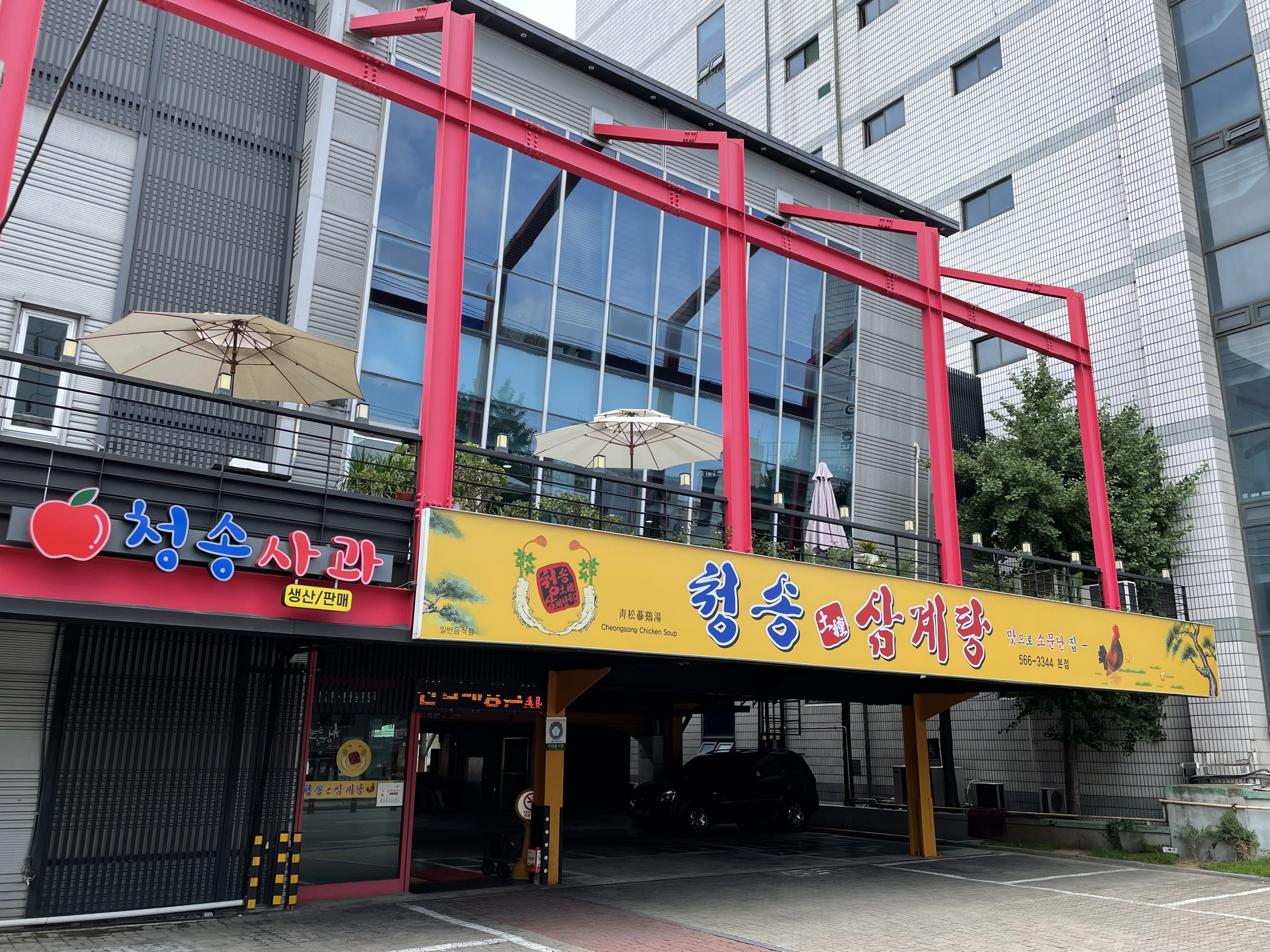 청송약수삼계탕 1