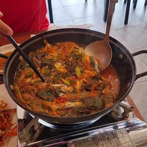 막내야 사진 8