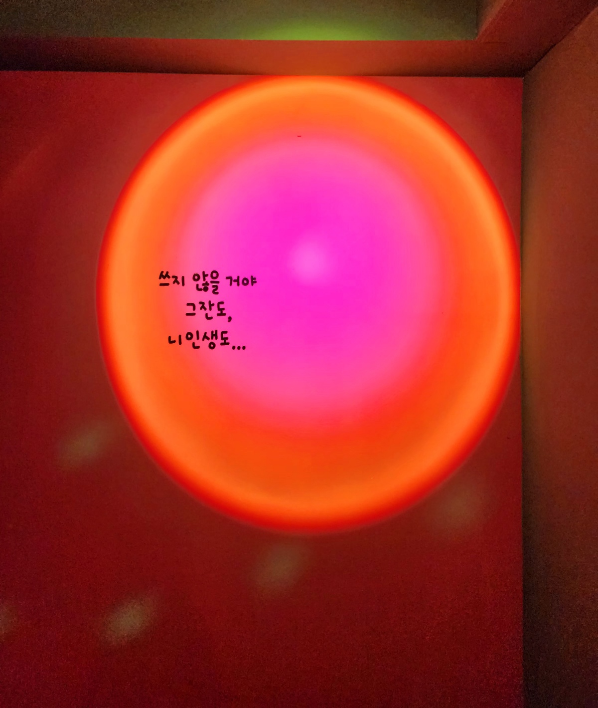 로타리포차 사진 4