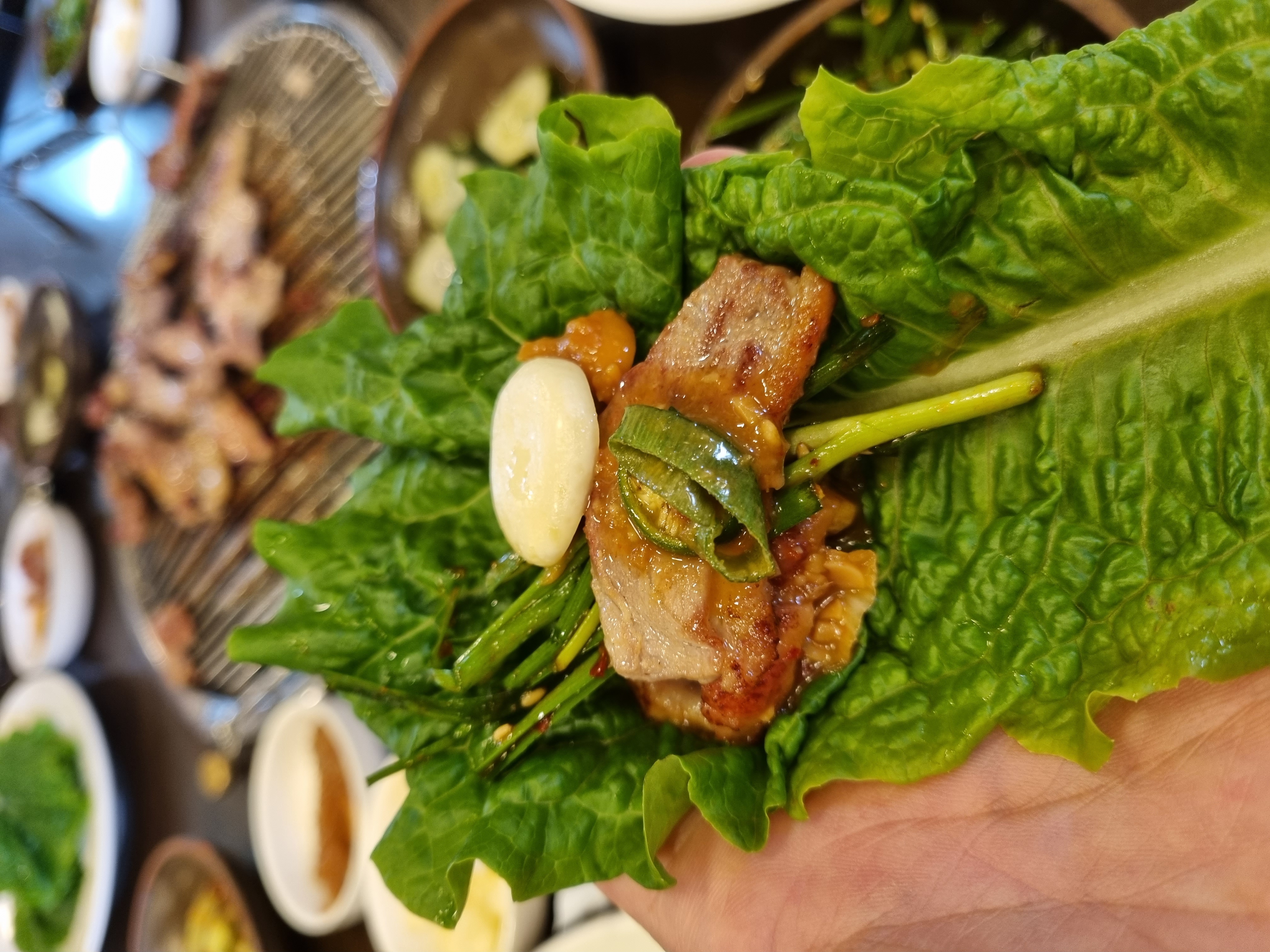 낙동생오리 4