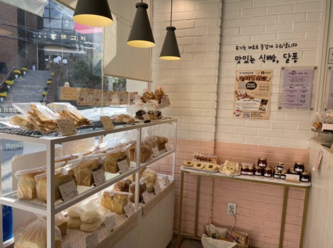 달퐁 사진 7