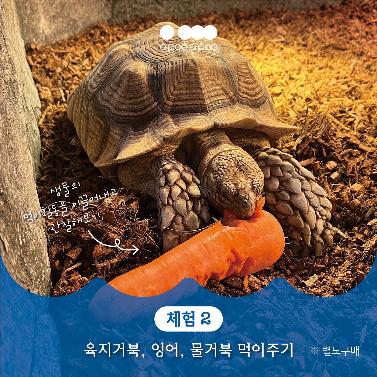어푸어푸 수원판타지움점 사진 5