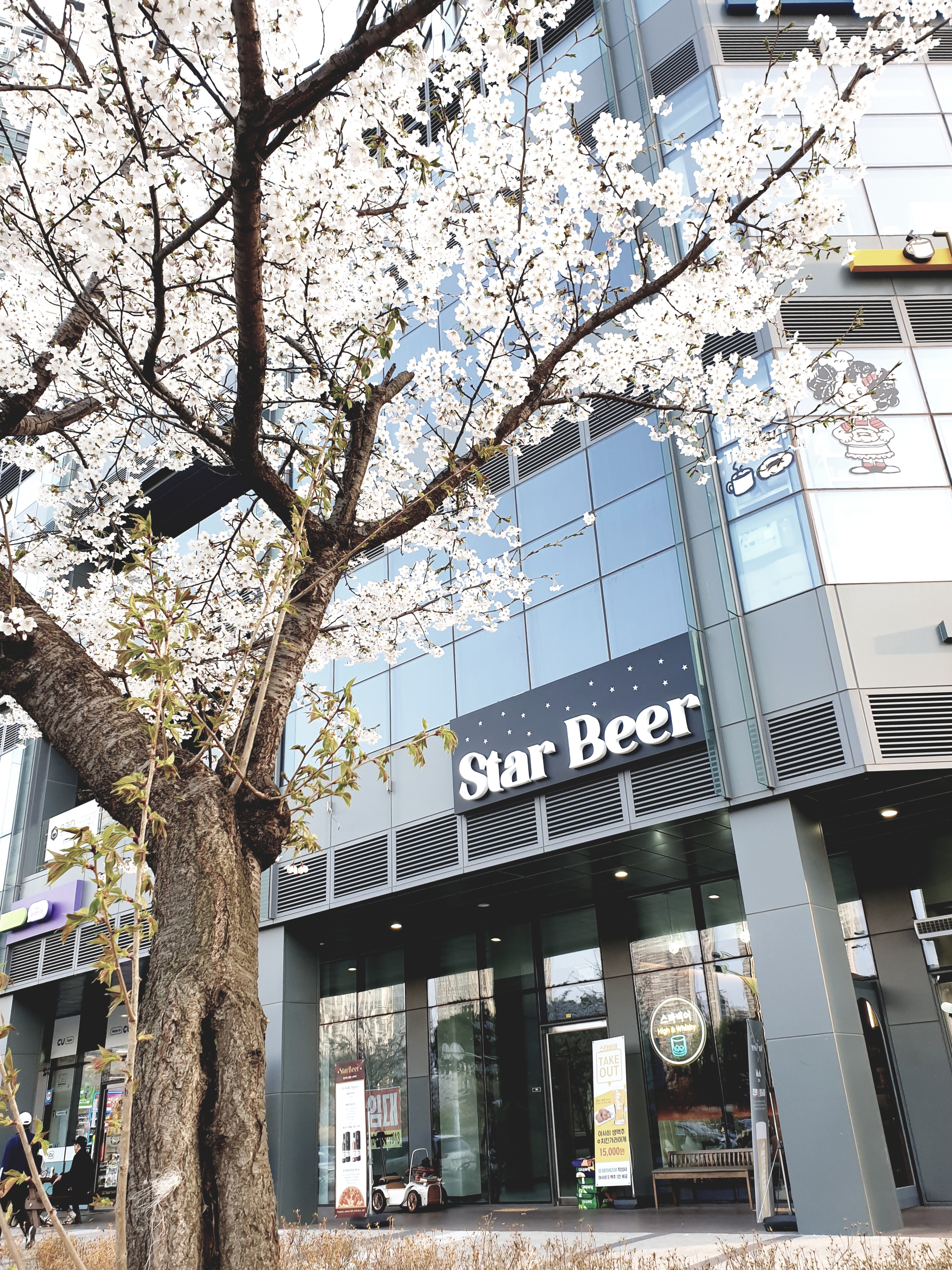 스타비어 사진 5