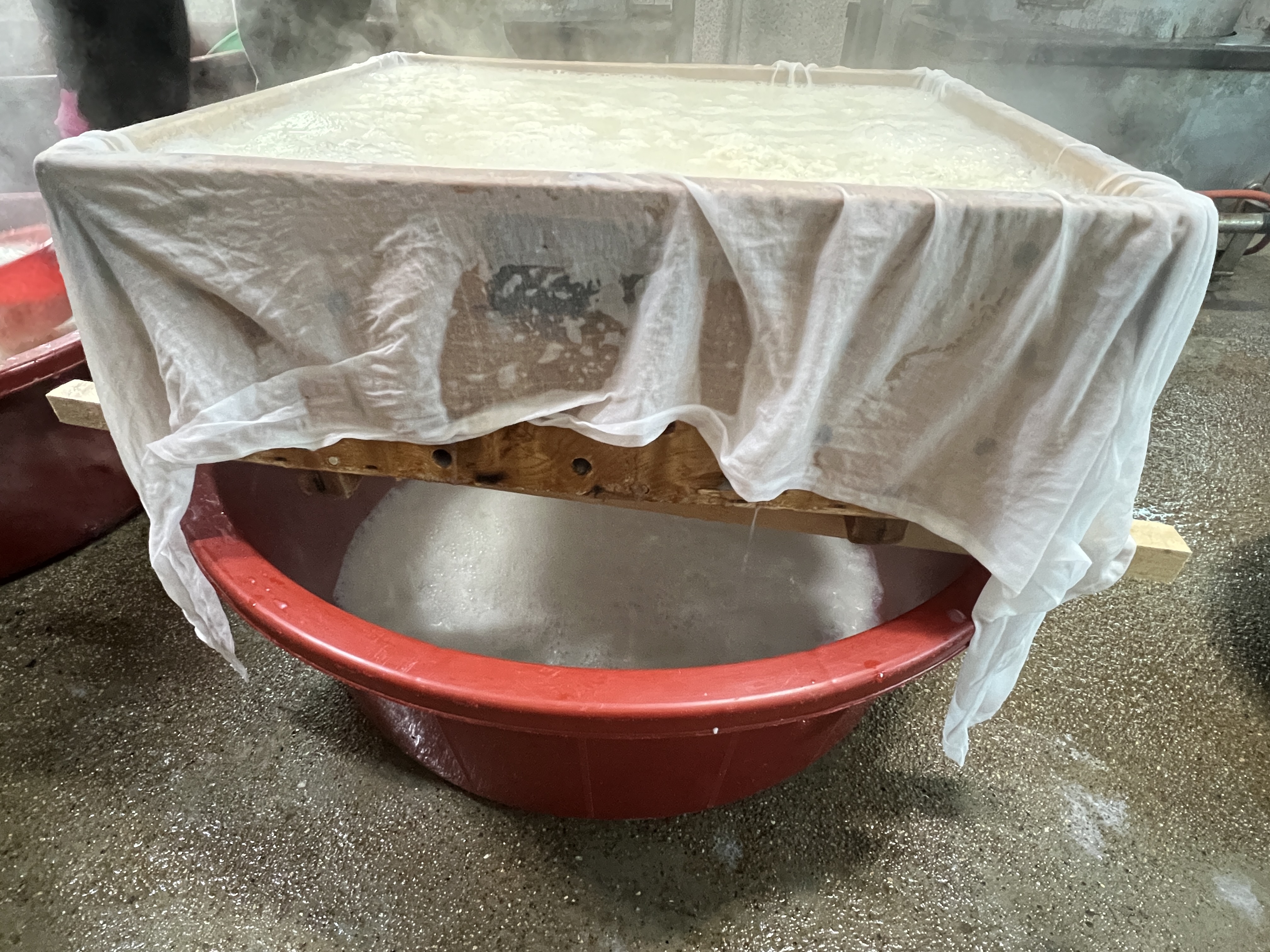 최옥란할머니순두부 5