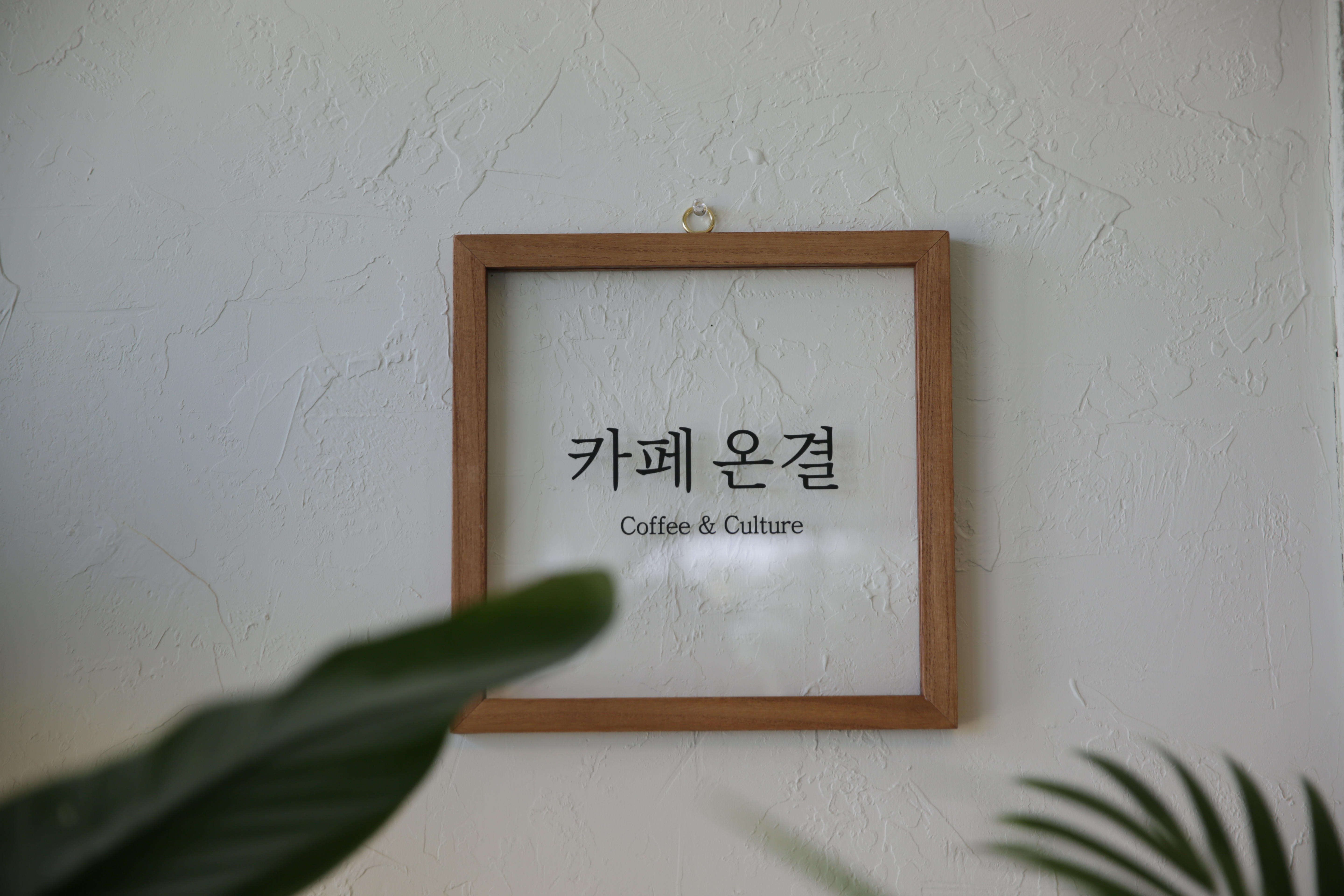 카페온결