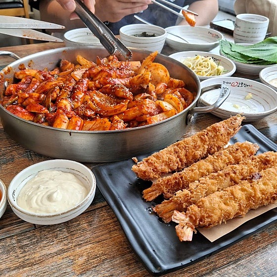조가네갑오징어 1