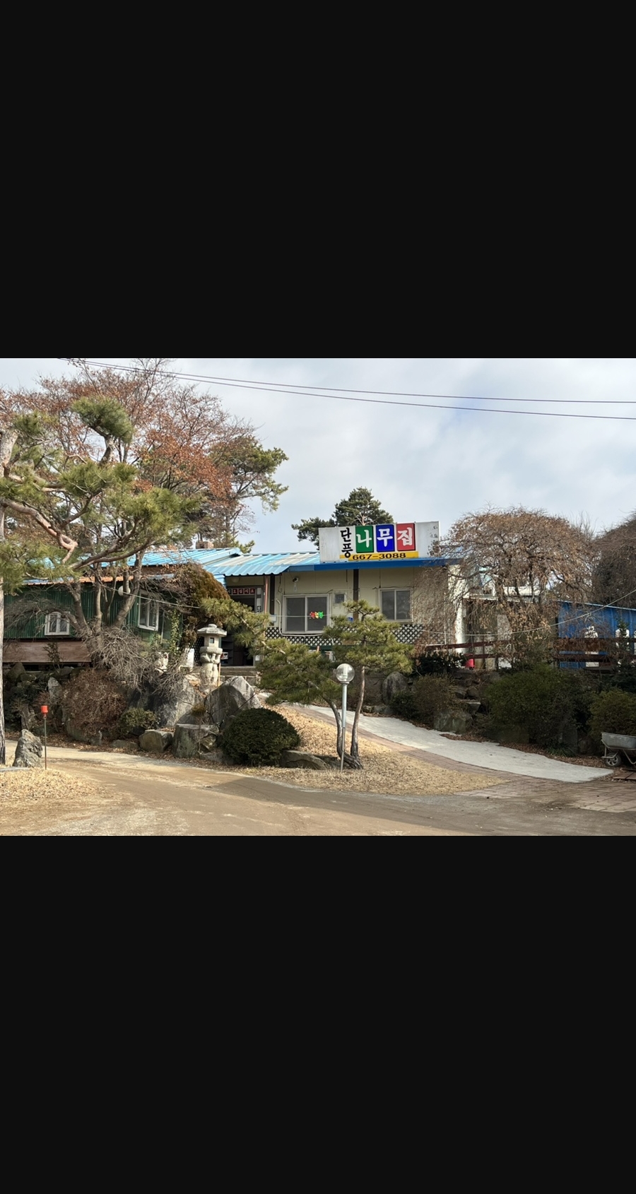 단풍나무집 1
