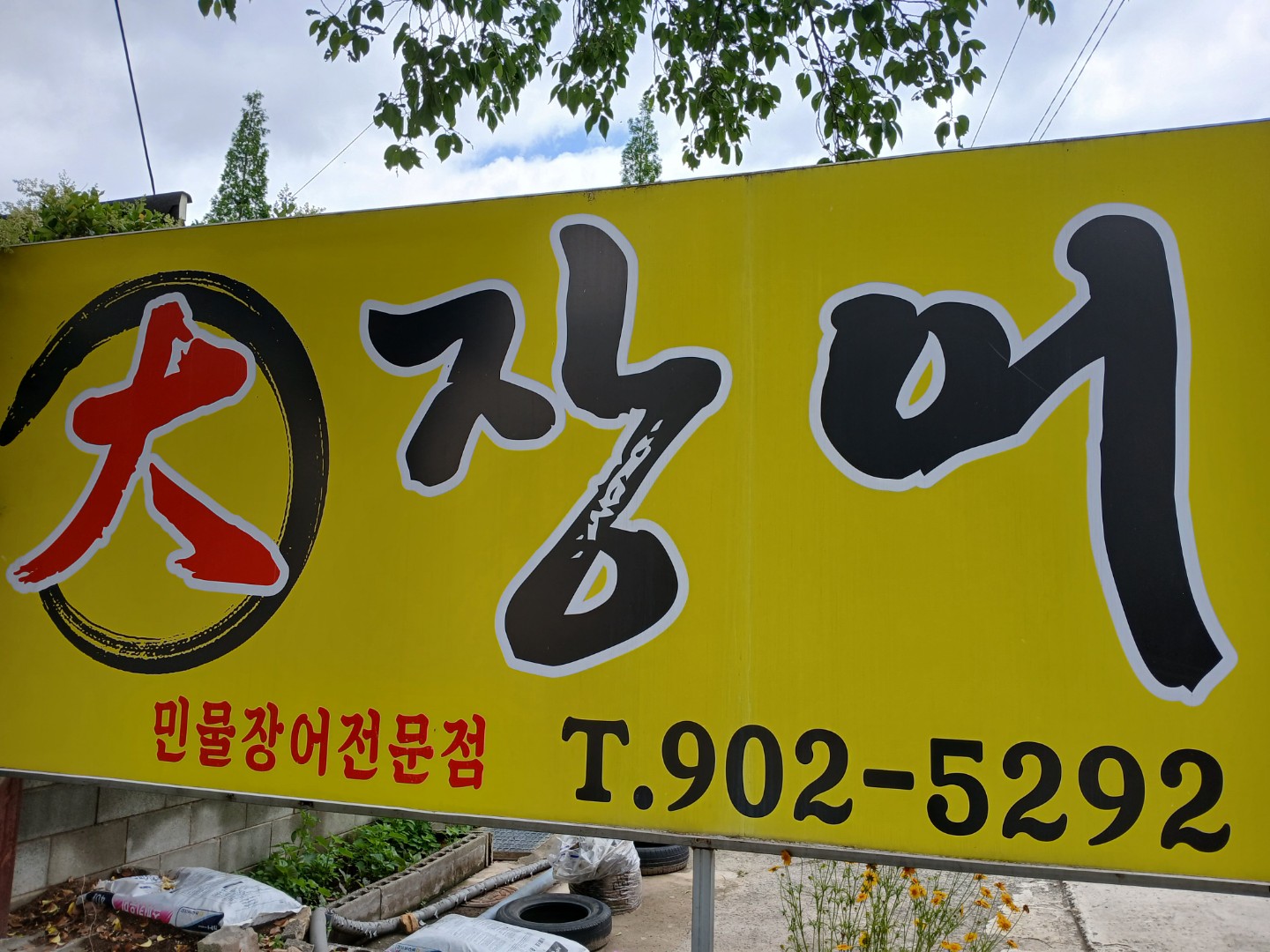 대장어 1