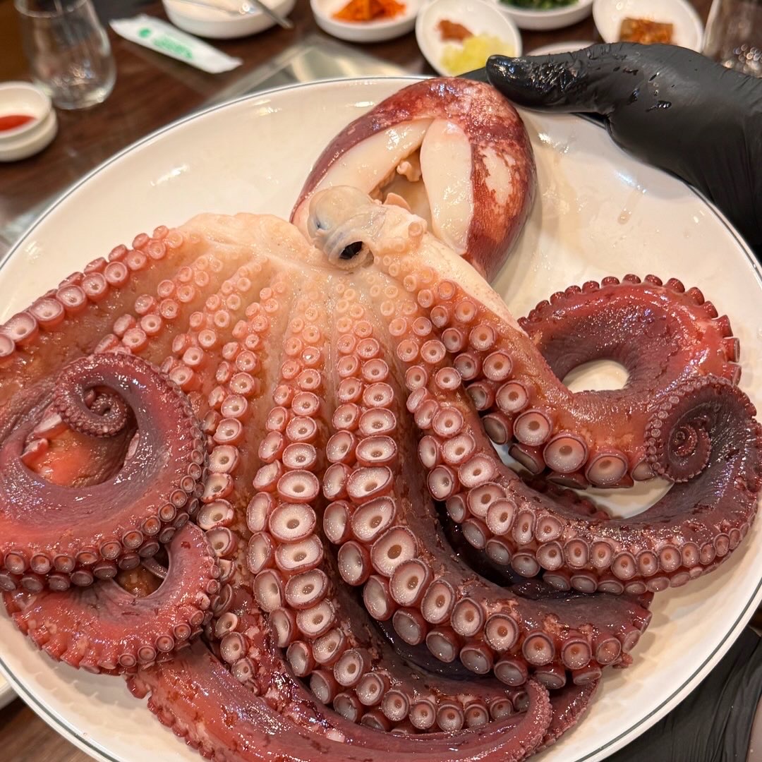 주문진 4