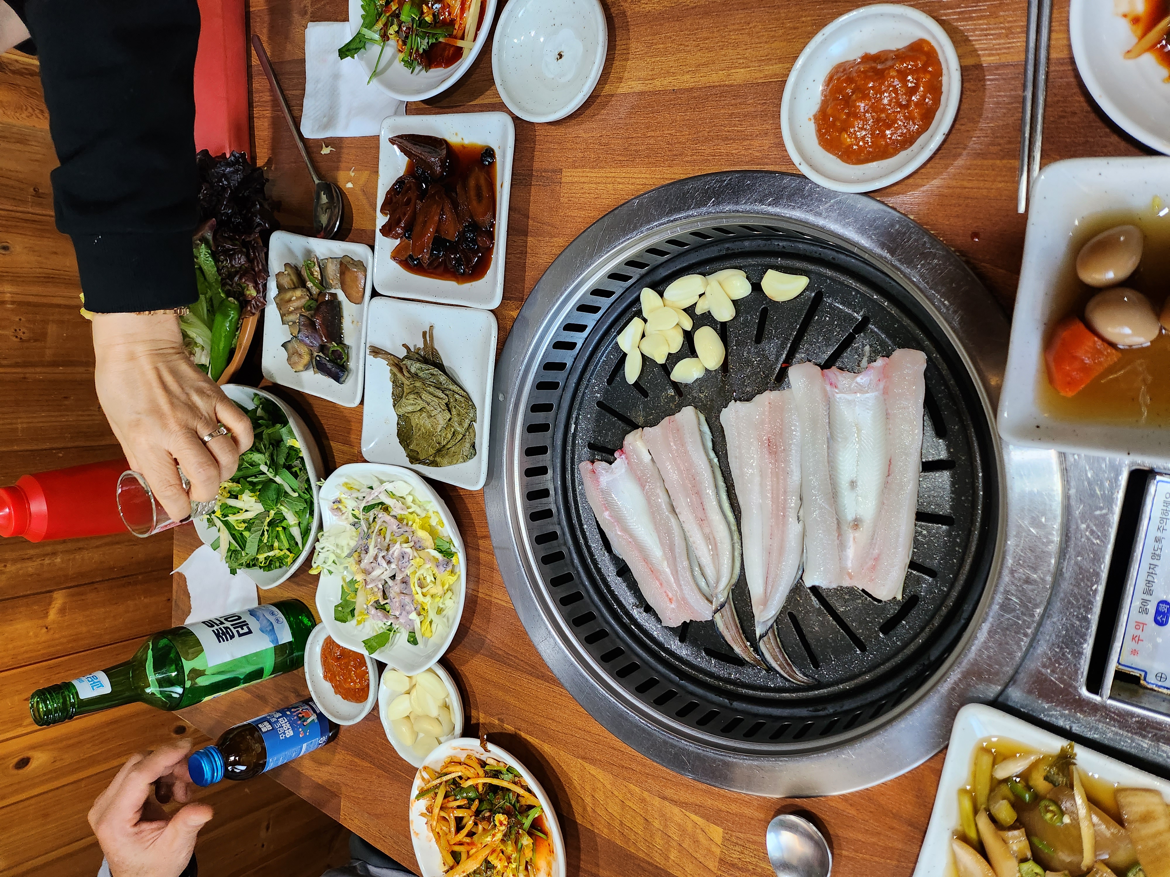 우성장어 사진 6