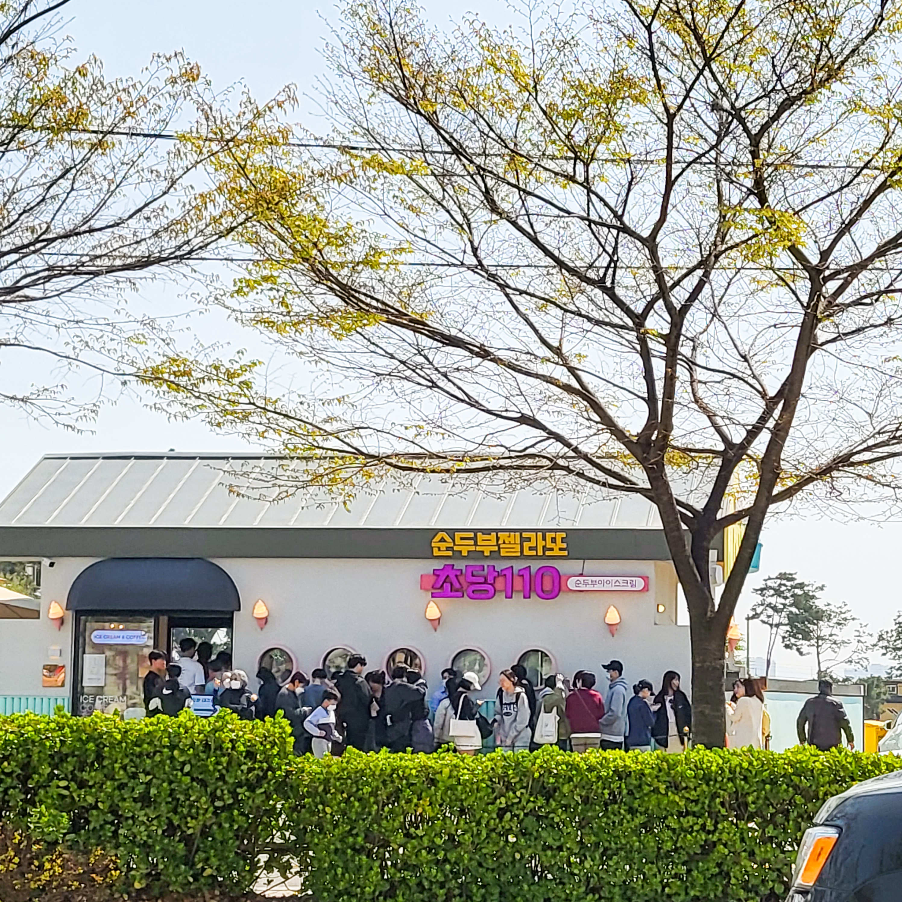 초당110
