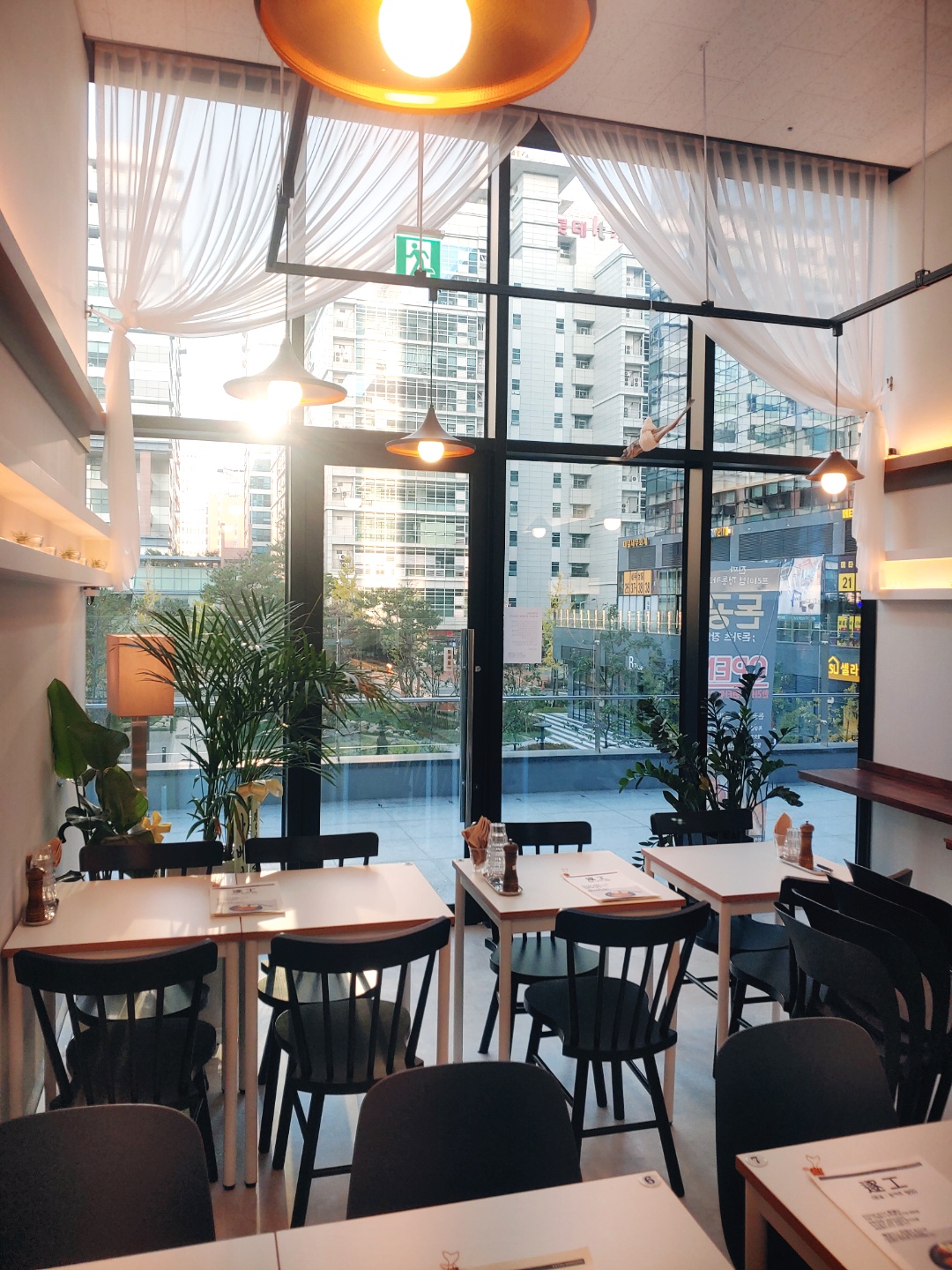 돈공 사진 6