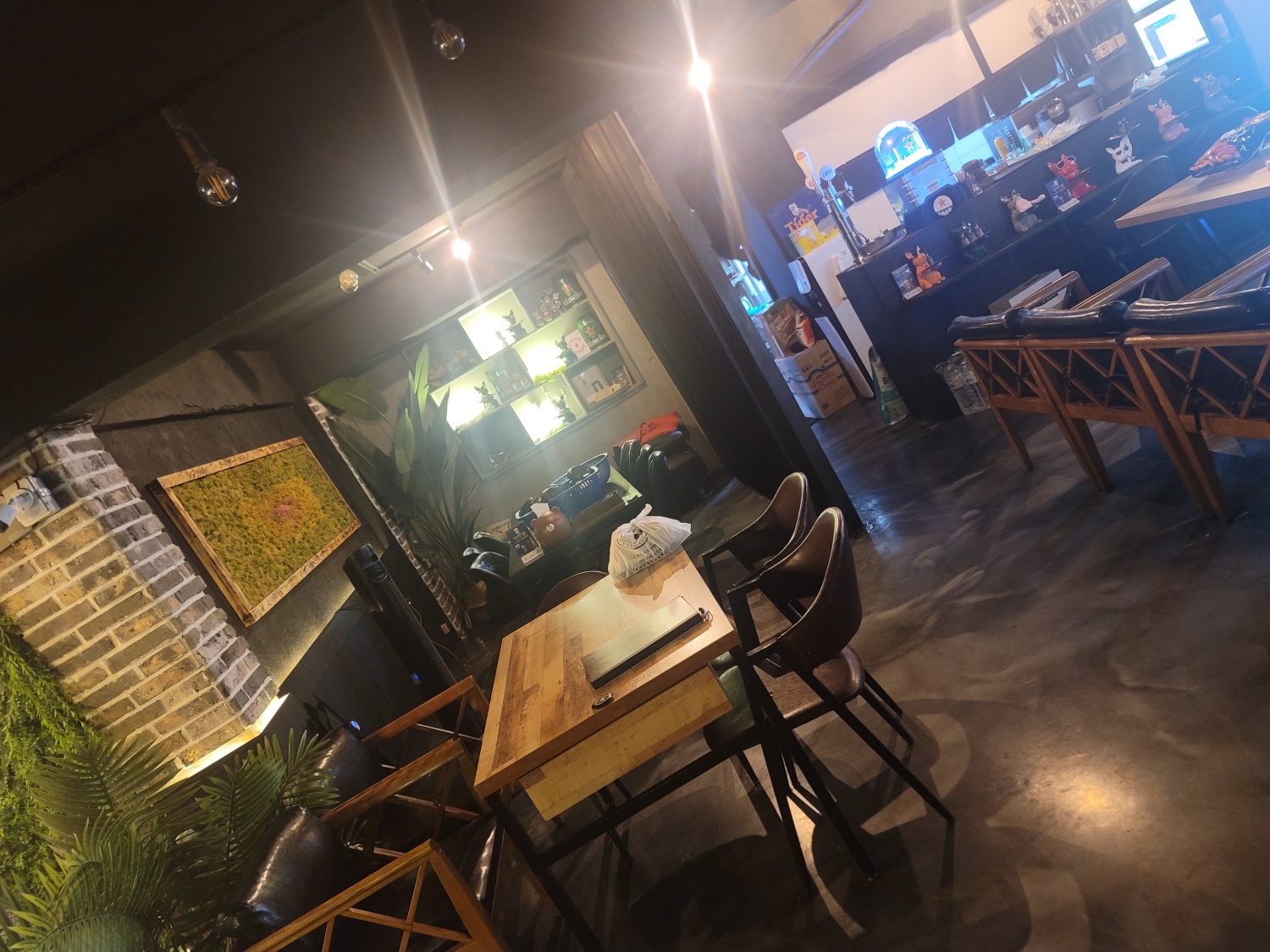 물고기 사진 5