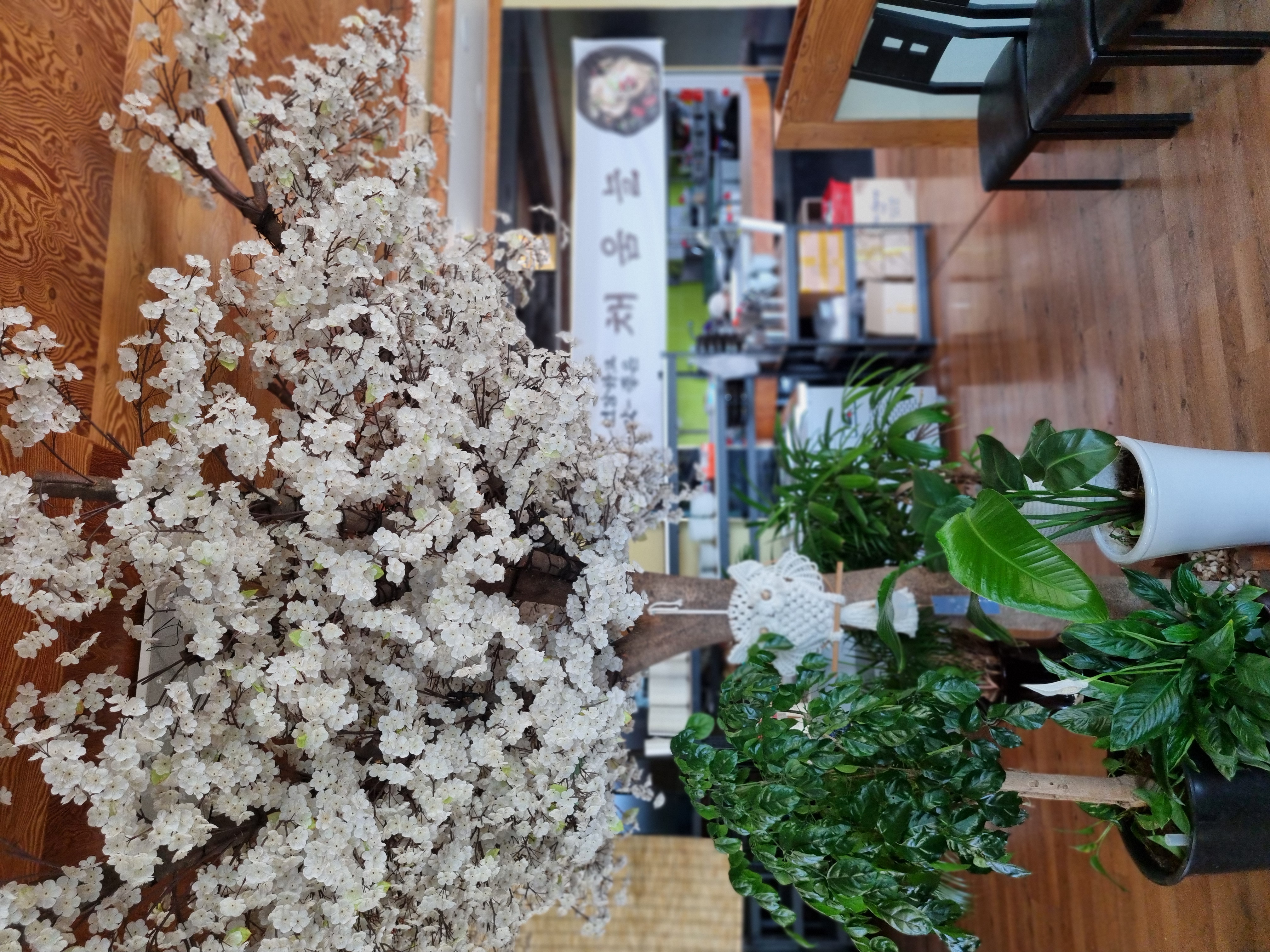 Chaeumneul (채움늘) 3