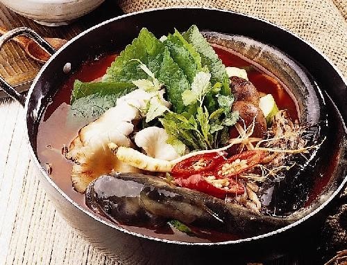 메기대감 사진 3