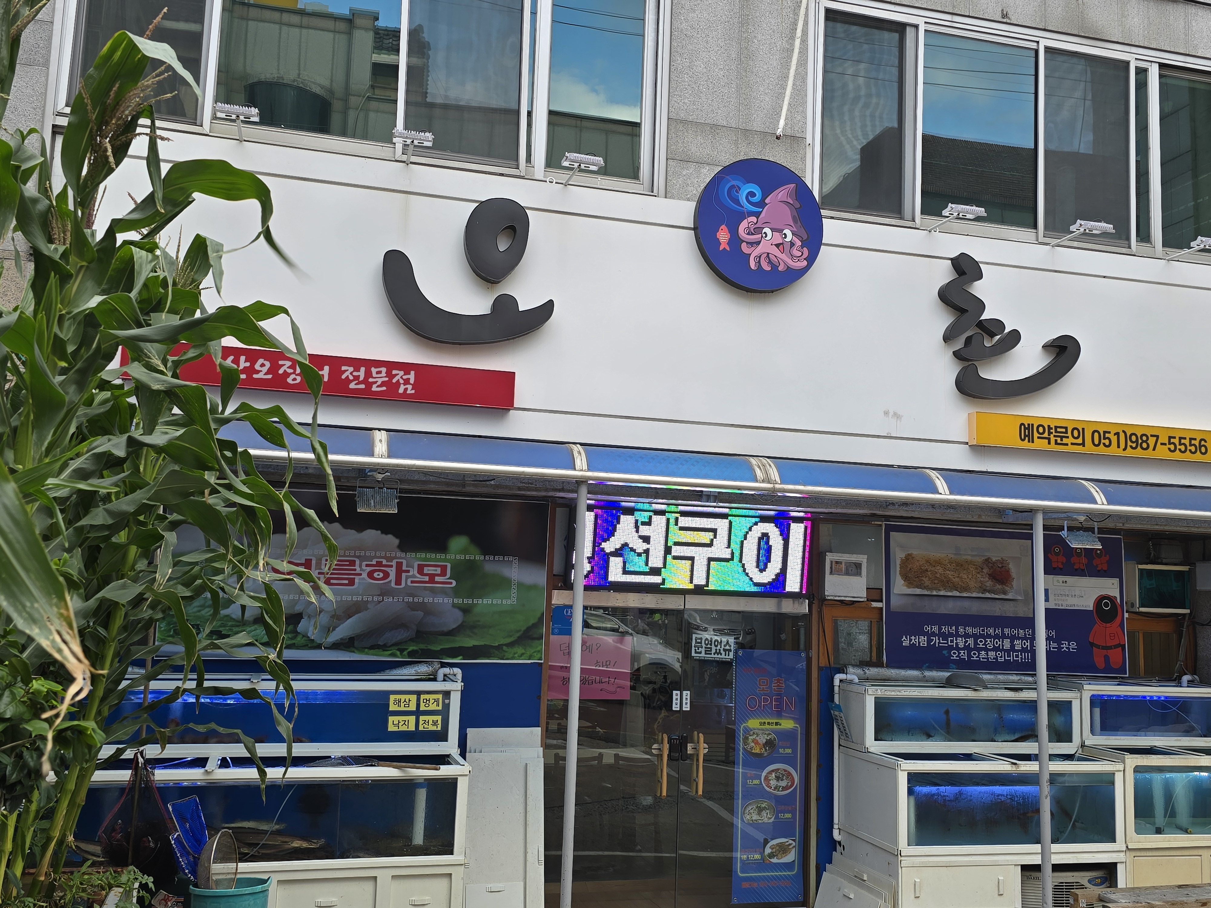 오촌 1