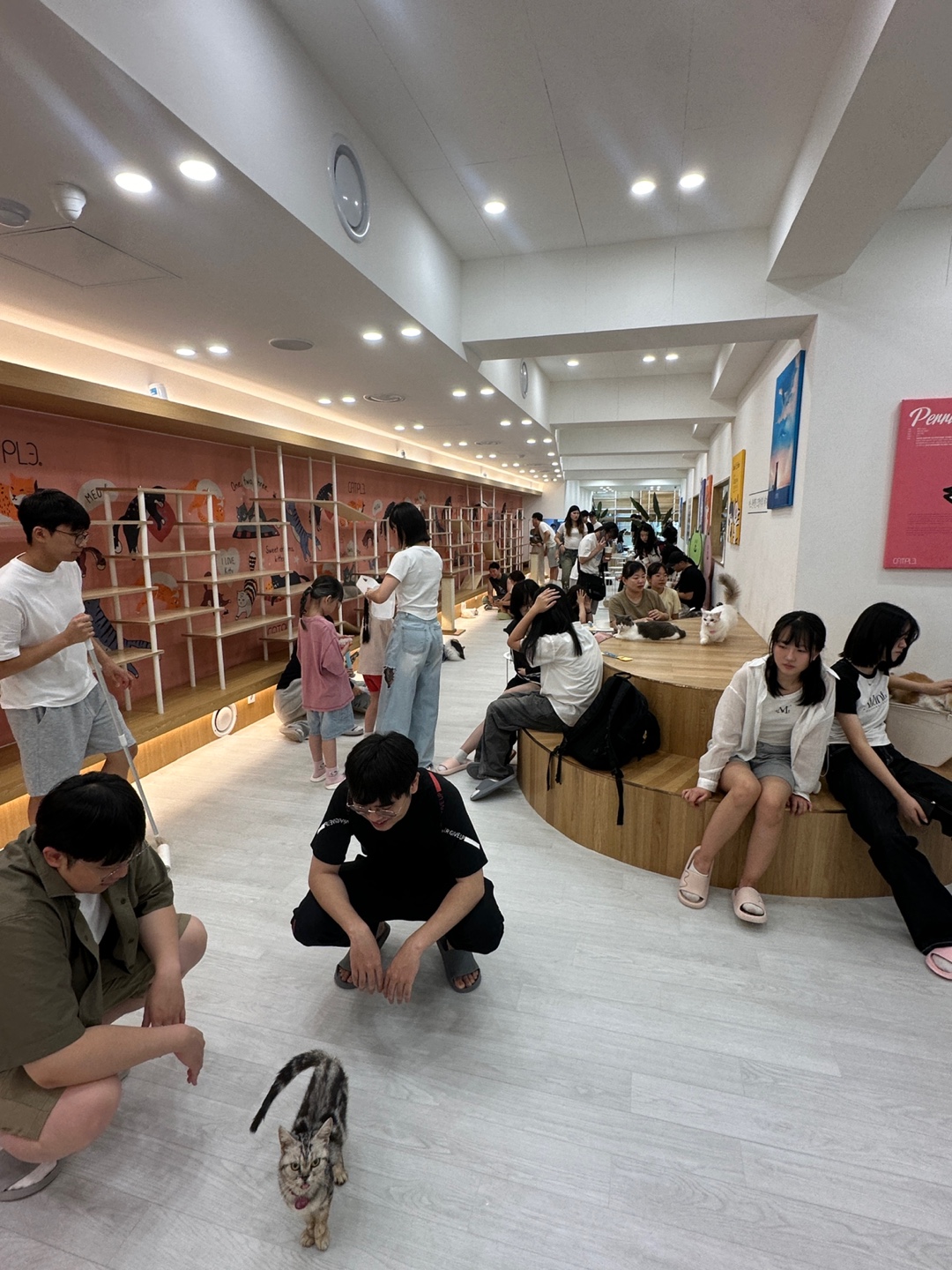 캣플코지 눅 대전은행점 사진 3