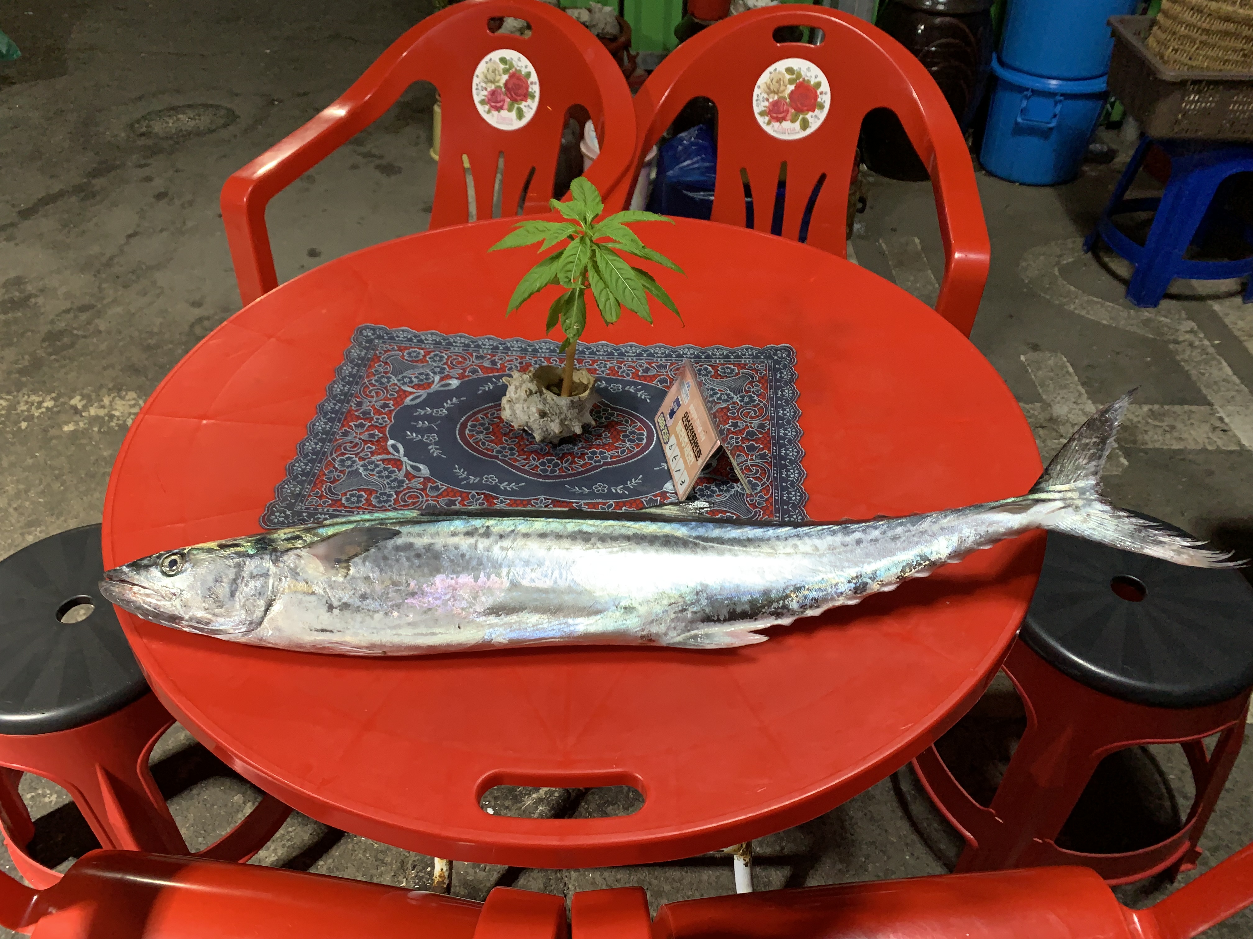 스카이식당 사진 8