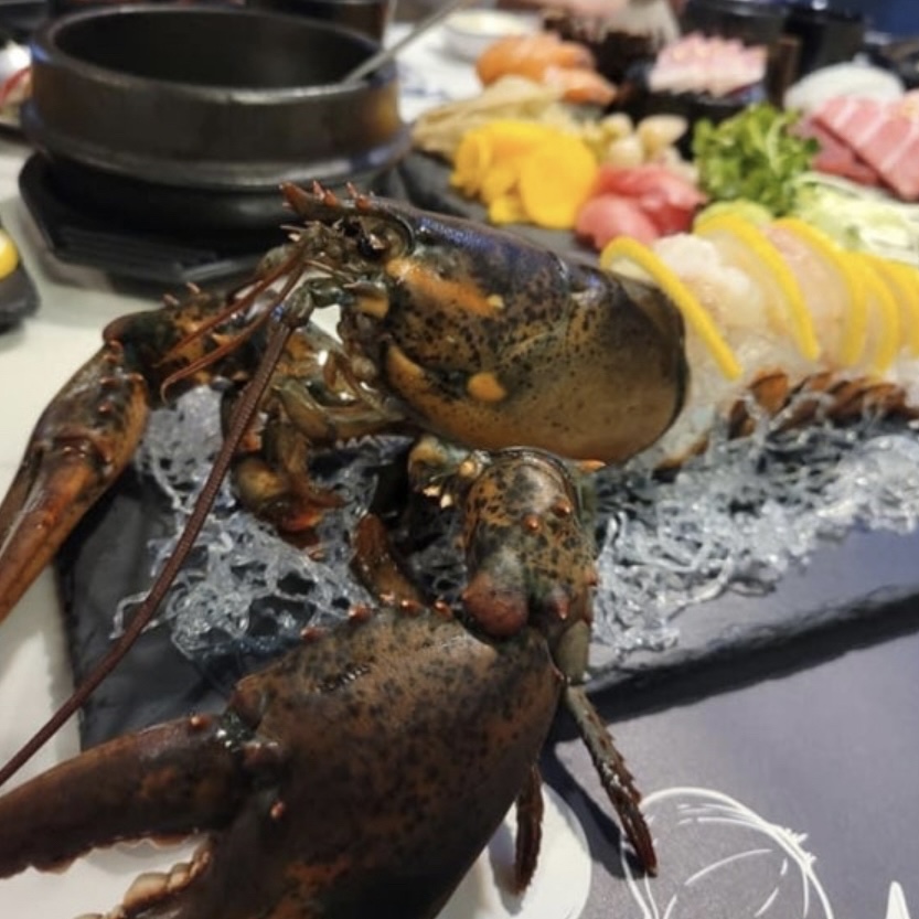 낭만참치 2