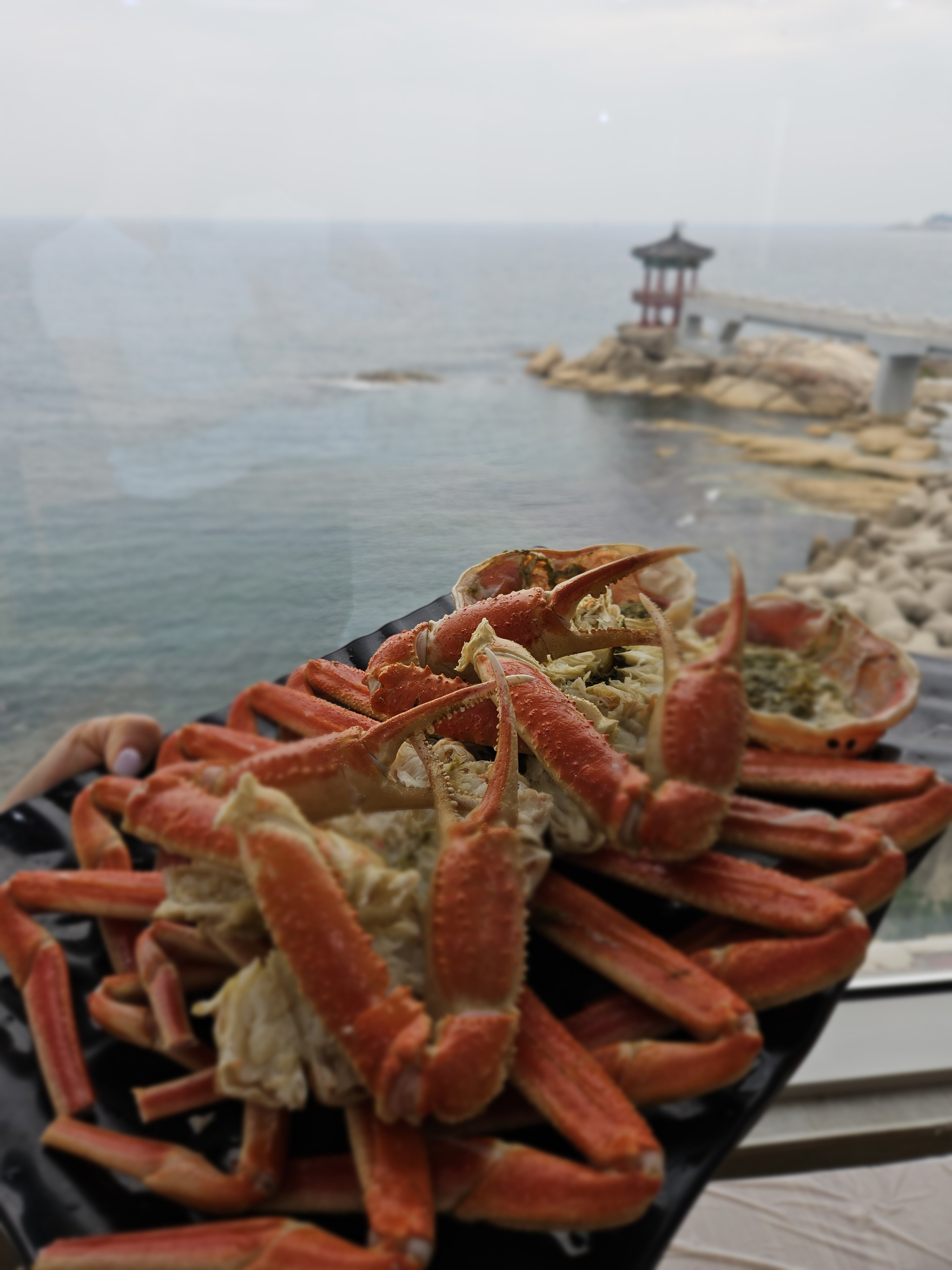 대선횟집 5