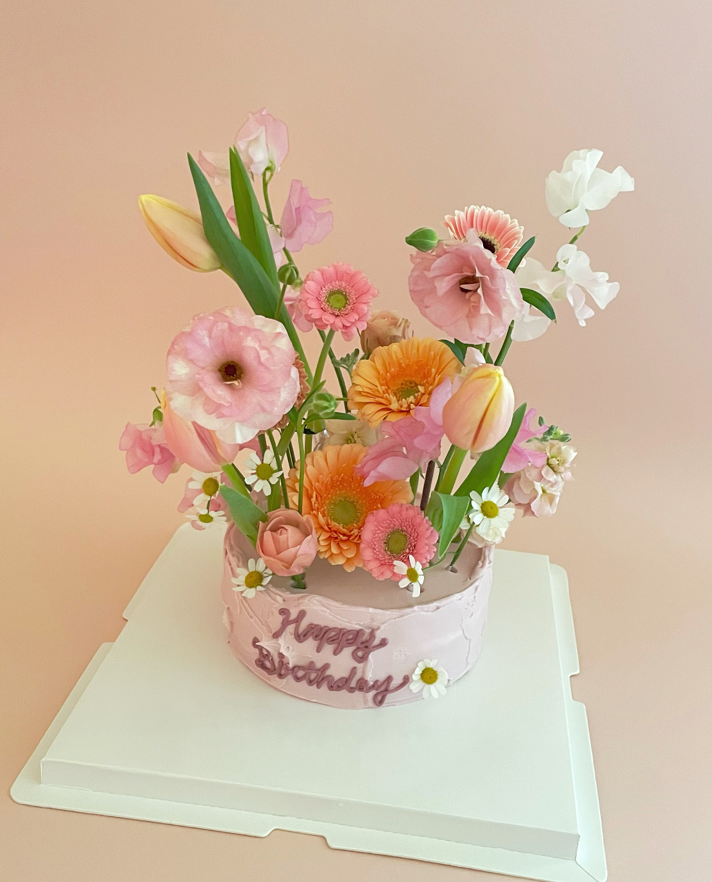 인기야아 사진 8