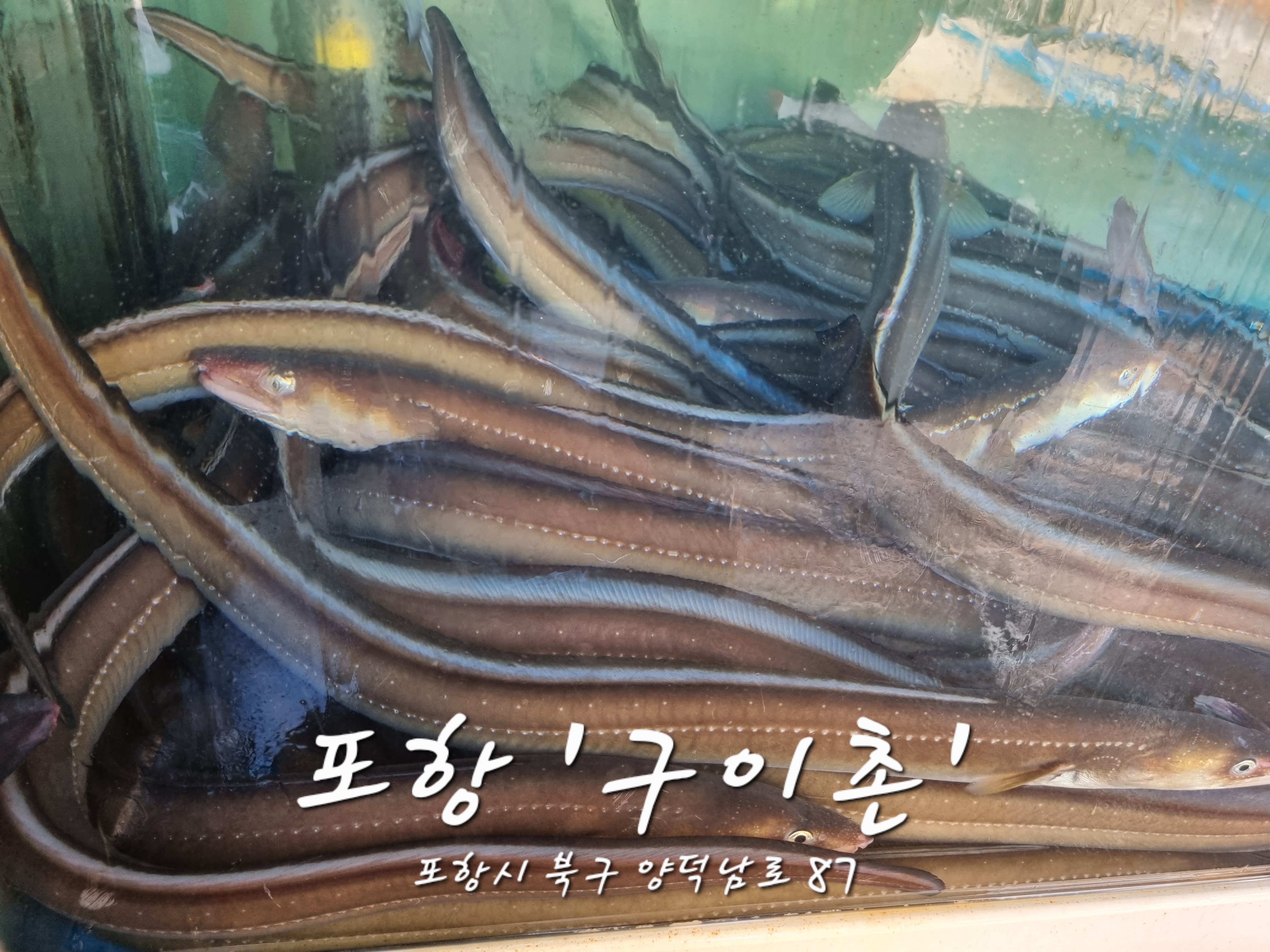 Guichon (구이촌) 2