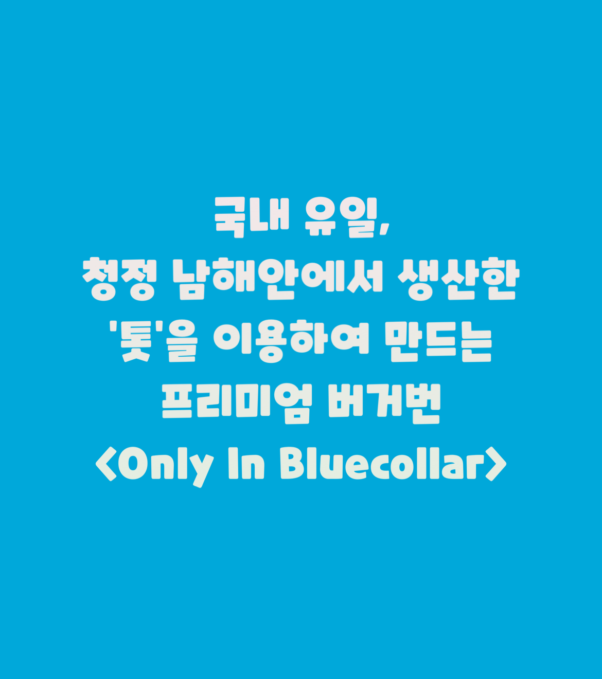 블루칼라 대표 사진