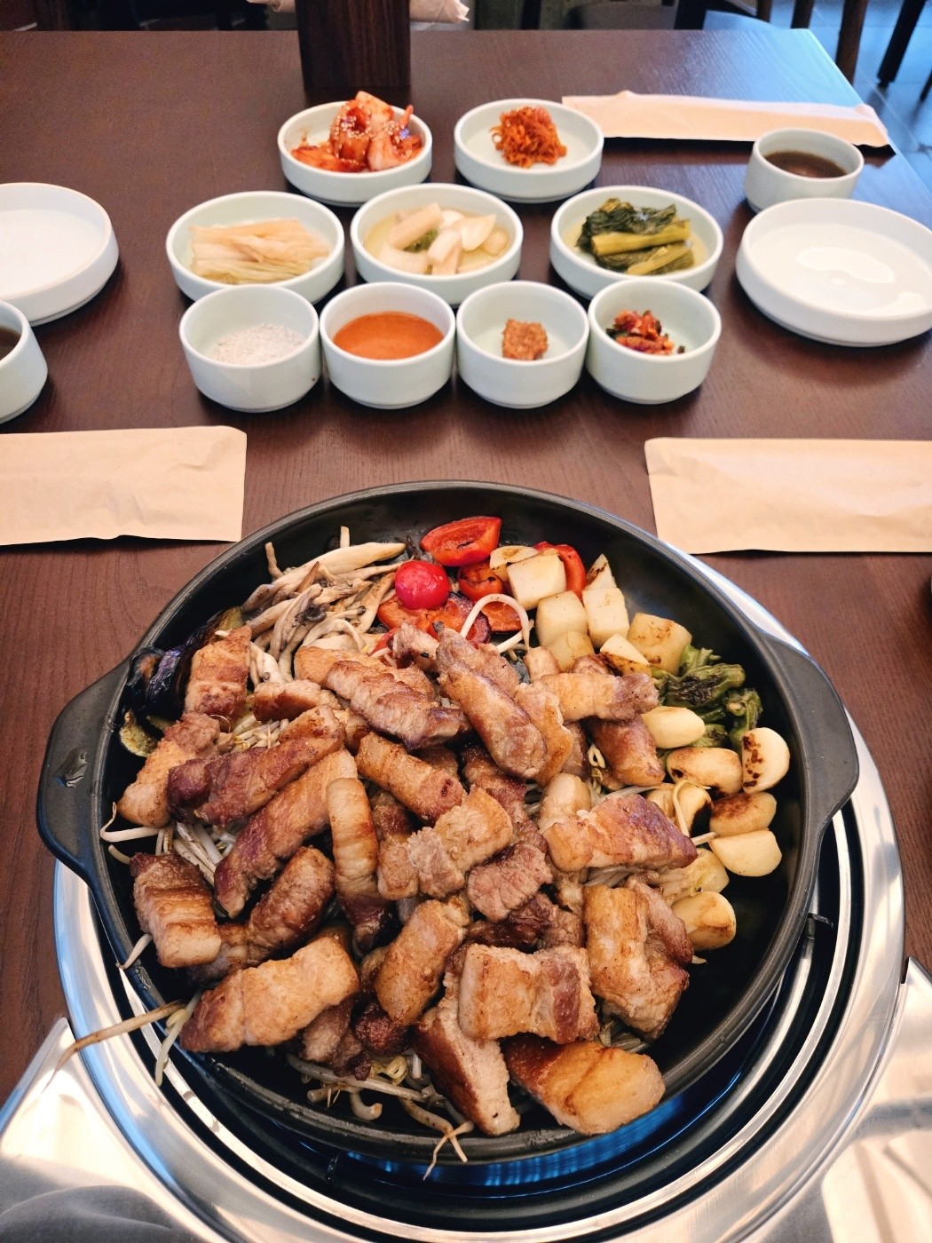 돝 사진 6