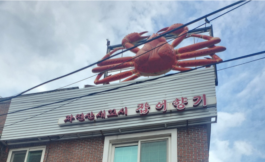 잡어향기 사진 8