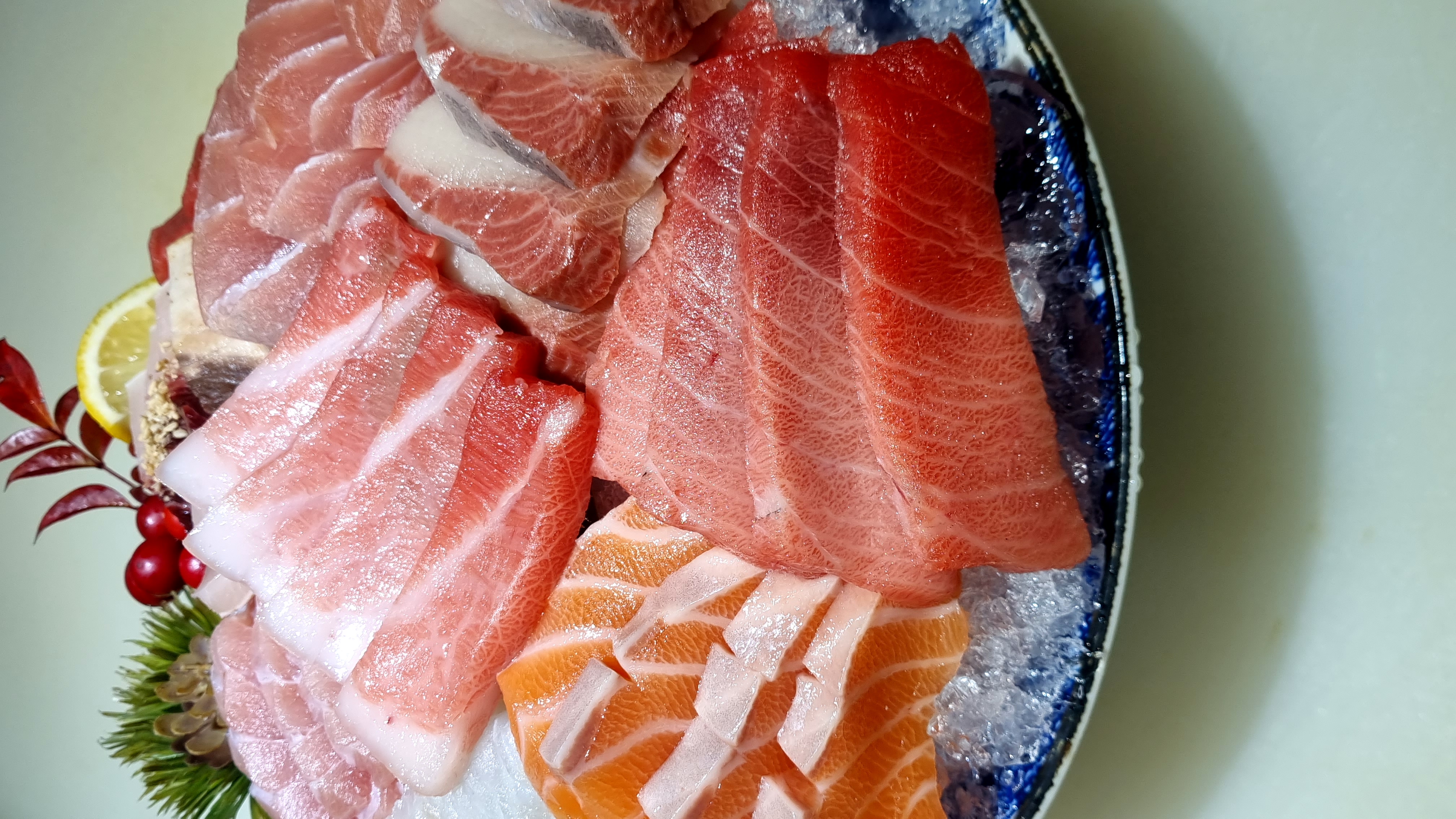 참치한점 사진 5